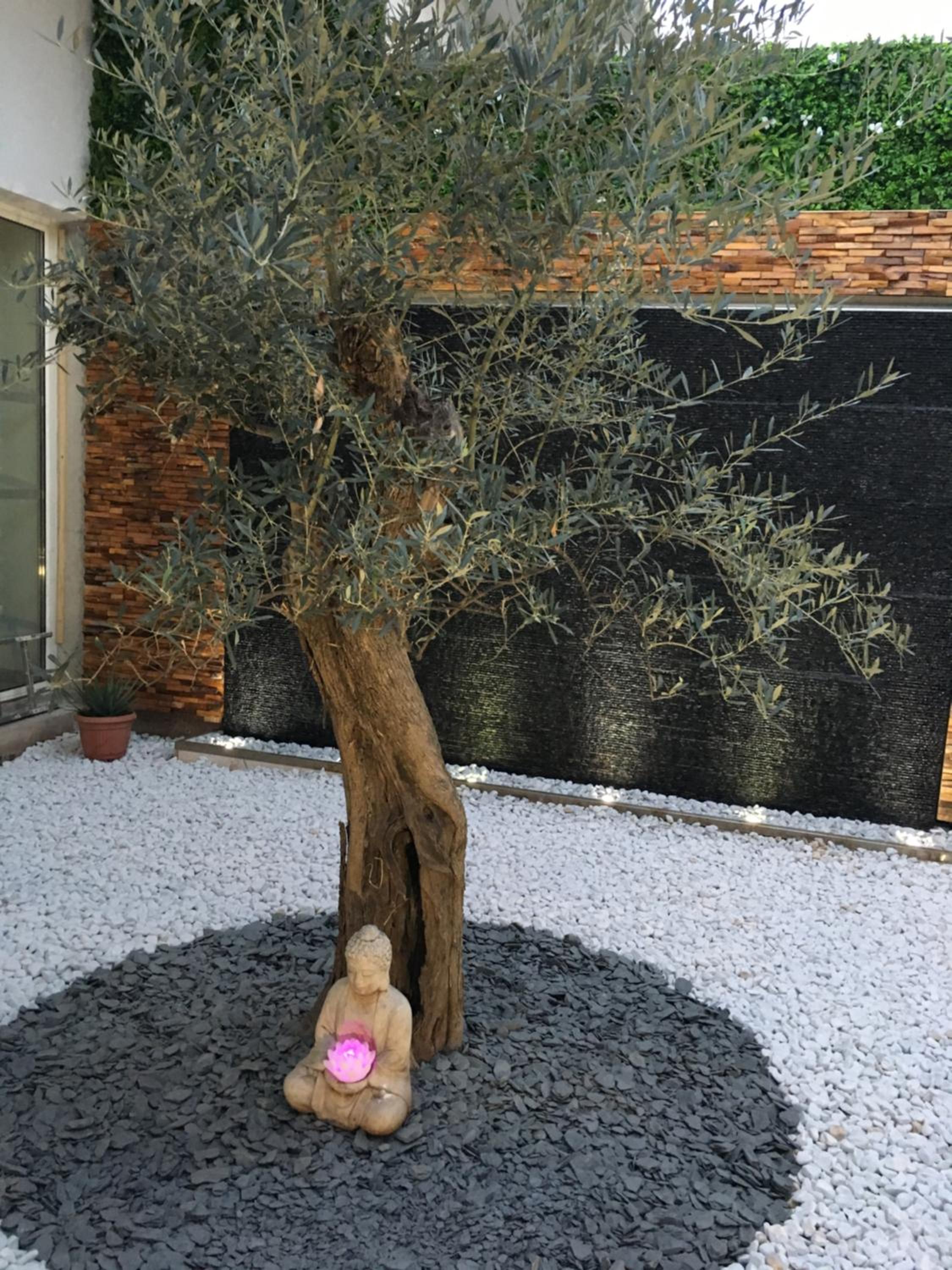 children's play area