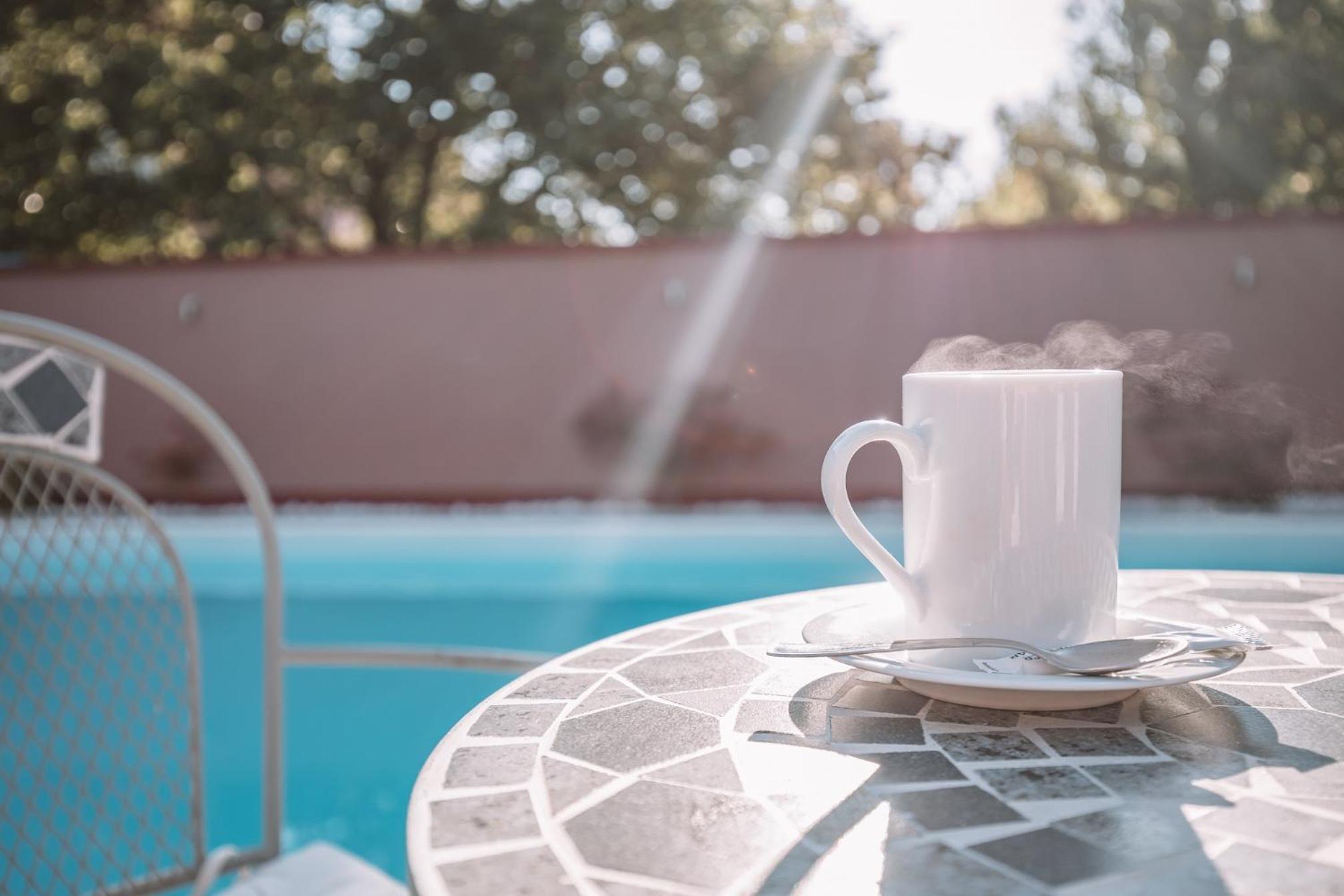 Villa Biser Dunava - Pool & River View