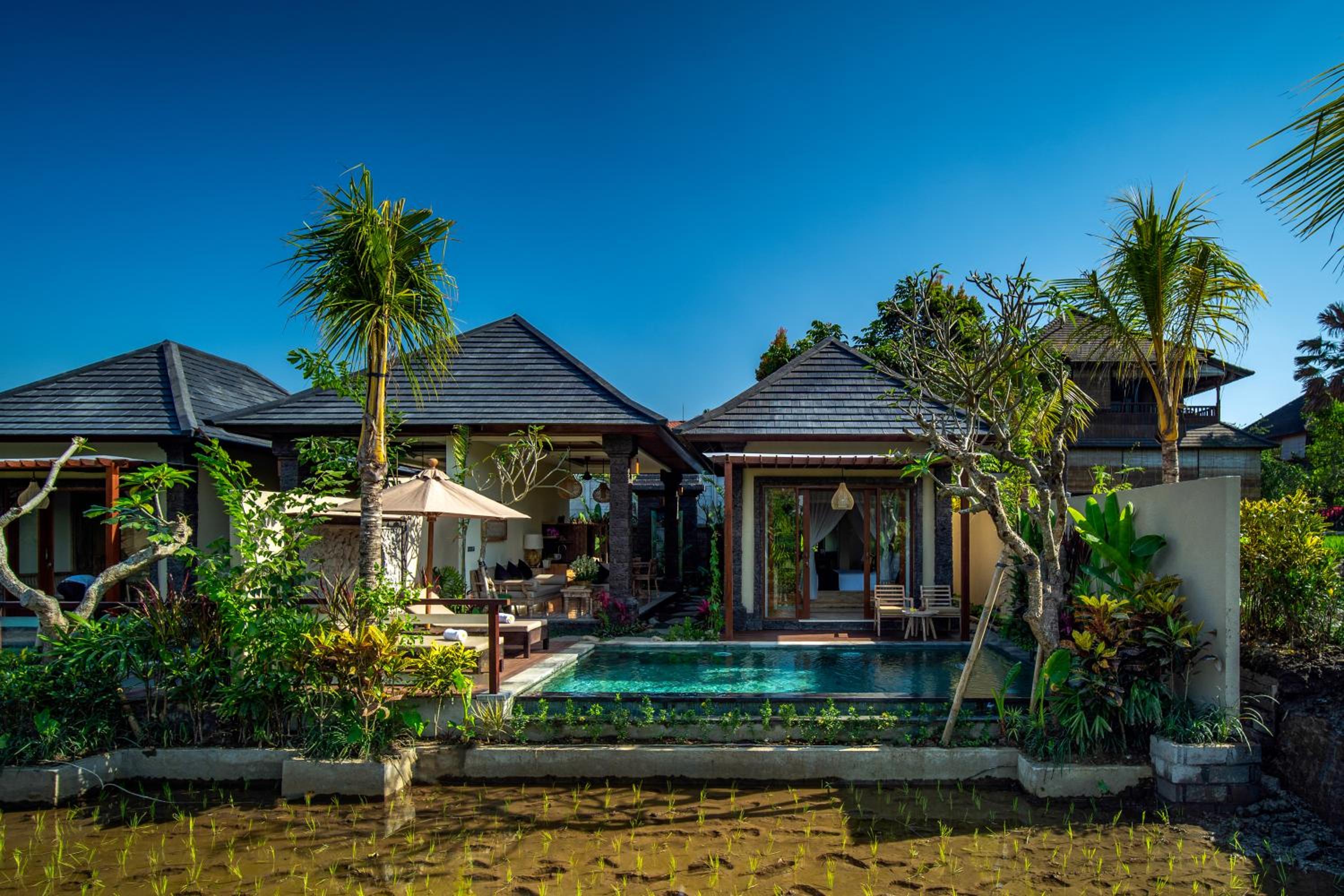 Hotel Bliss Ubud Luxury Villa - Image 1