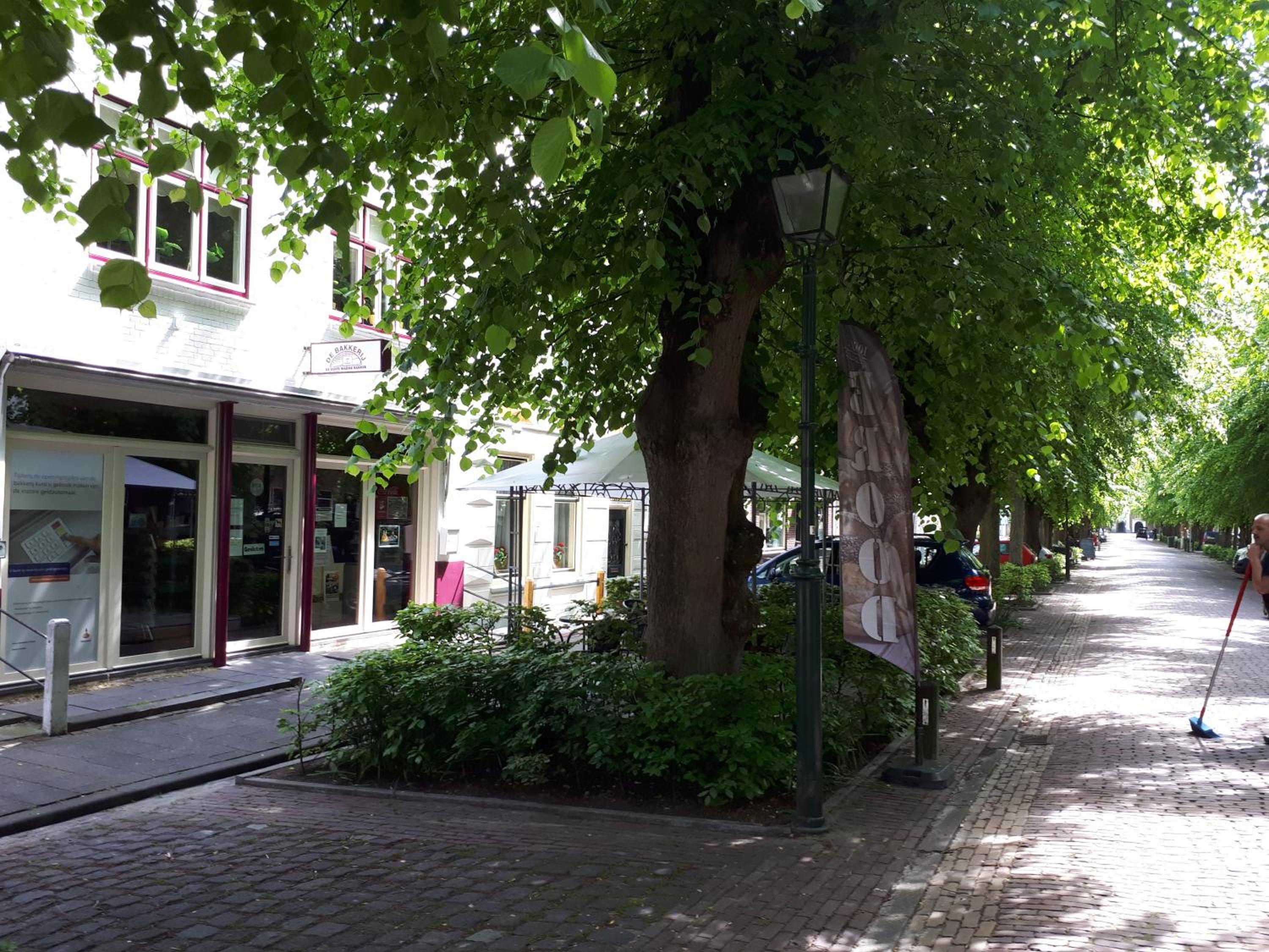 Photo 13
