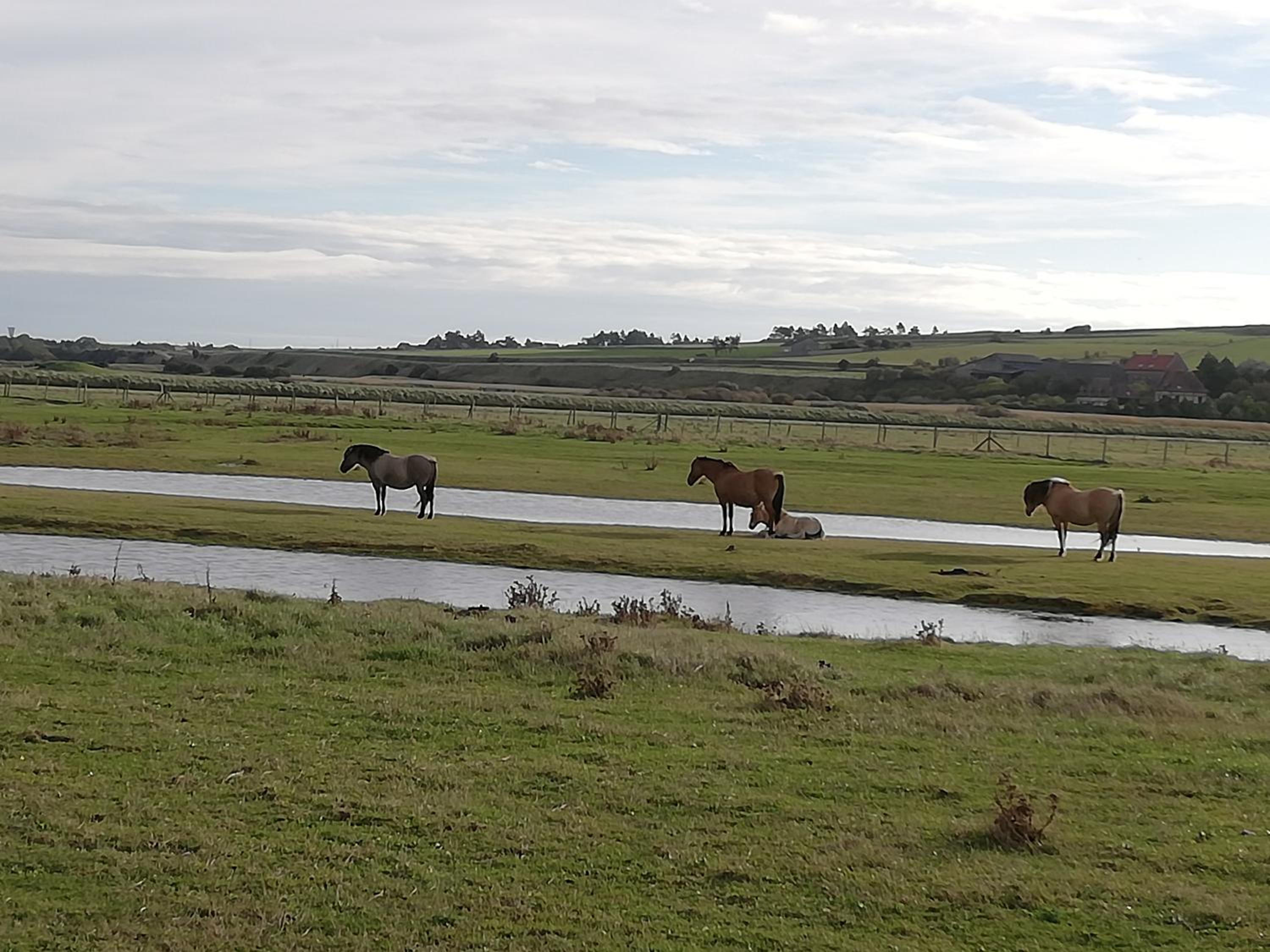 L'ENTRE 2 COTES, photo 7
