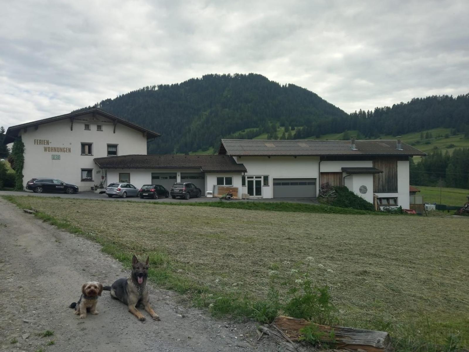 Photo 20