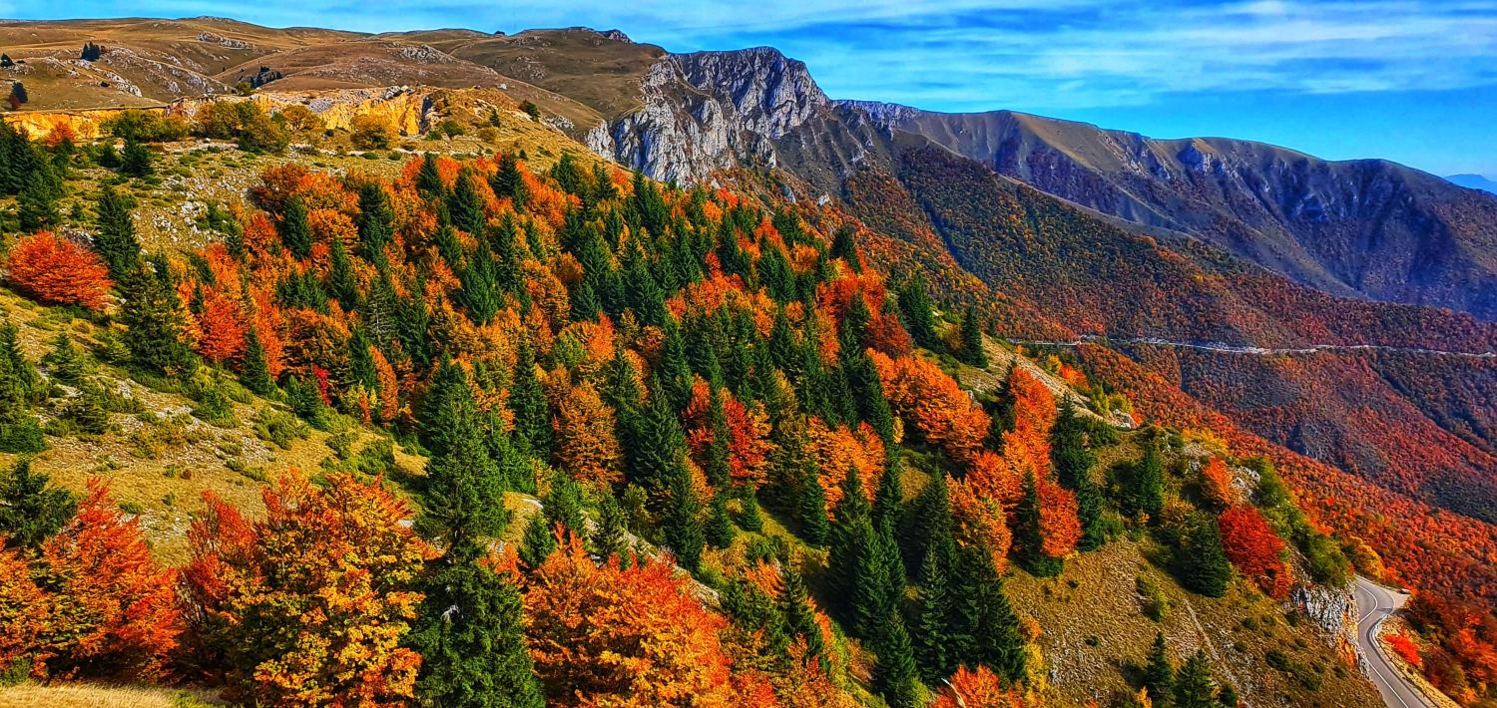 Planinska kuća 