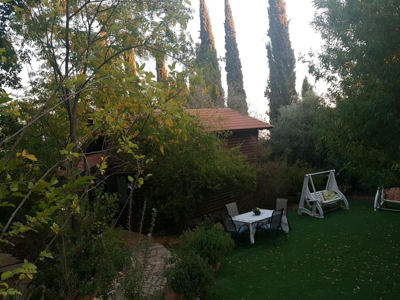 Photo 6