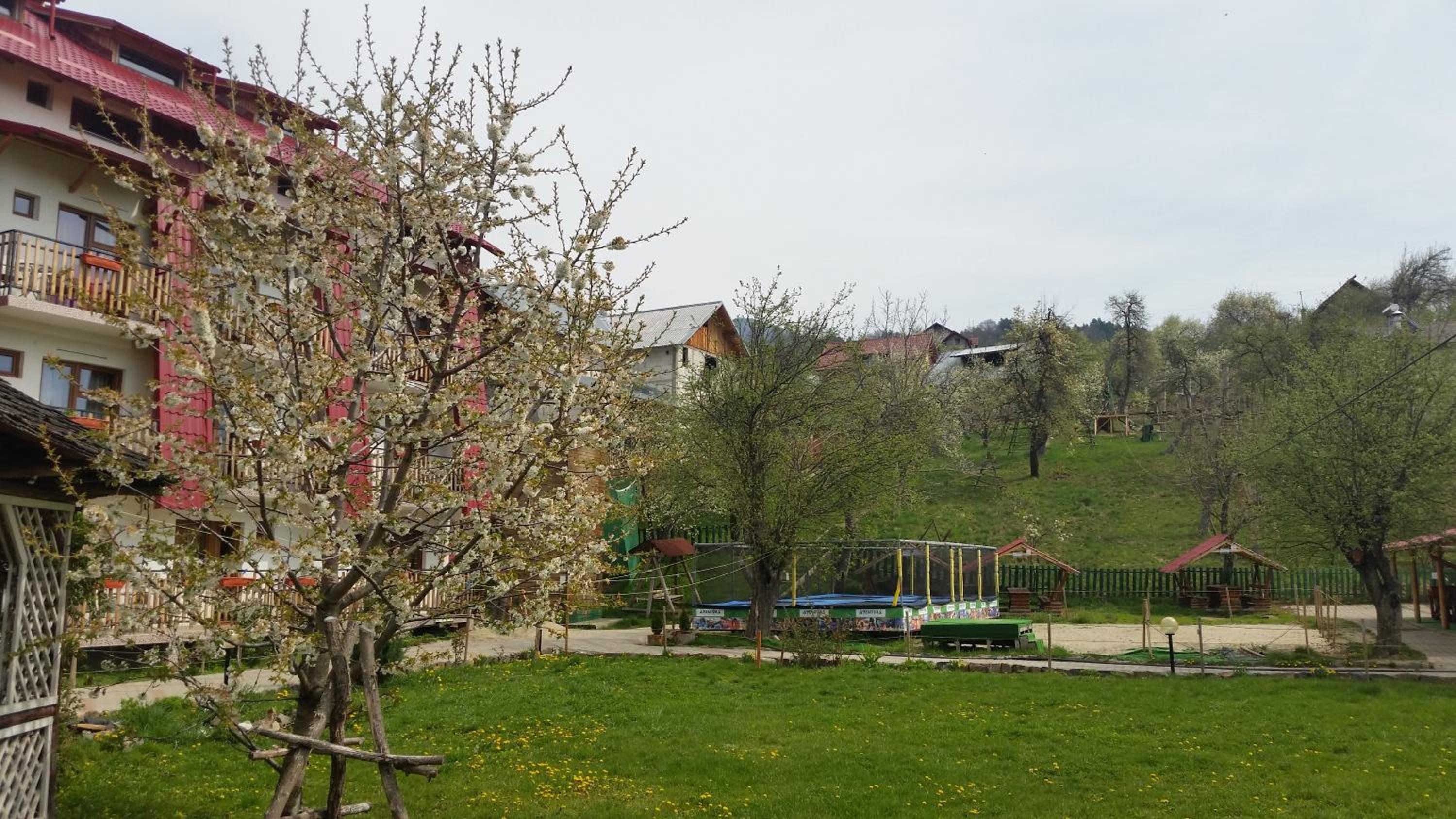 Photo 19