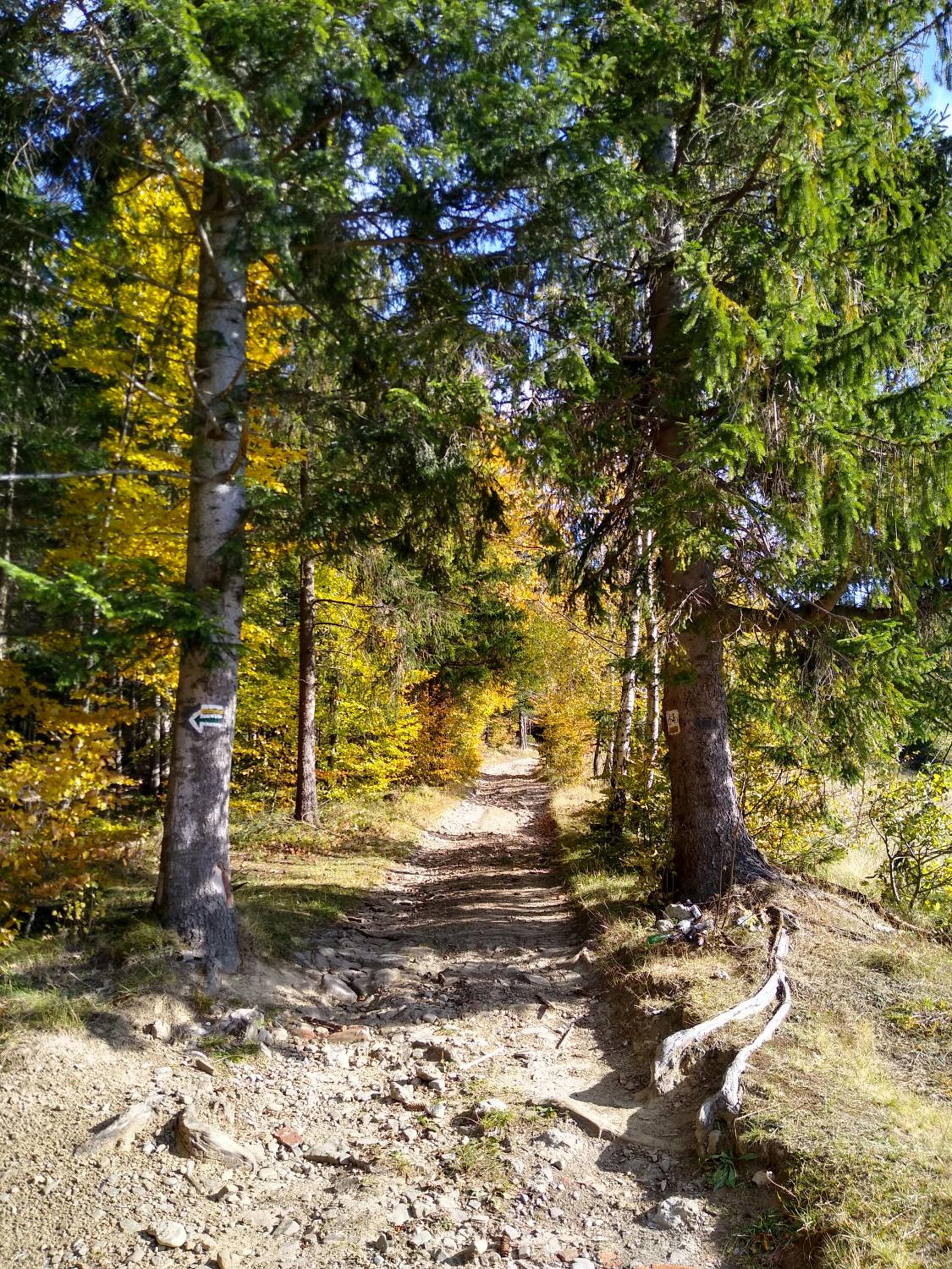 Kolędówka Rest, photo 50