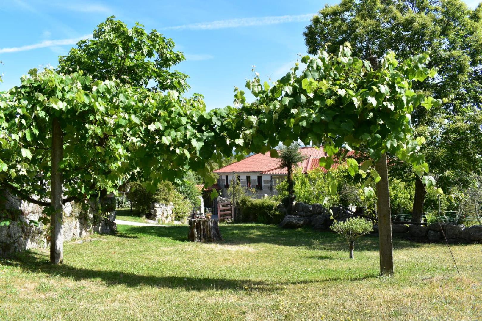 Quinta da Quinta view 3