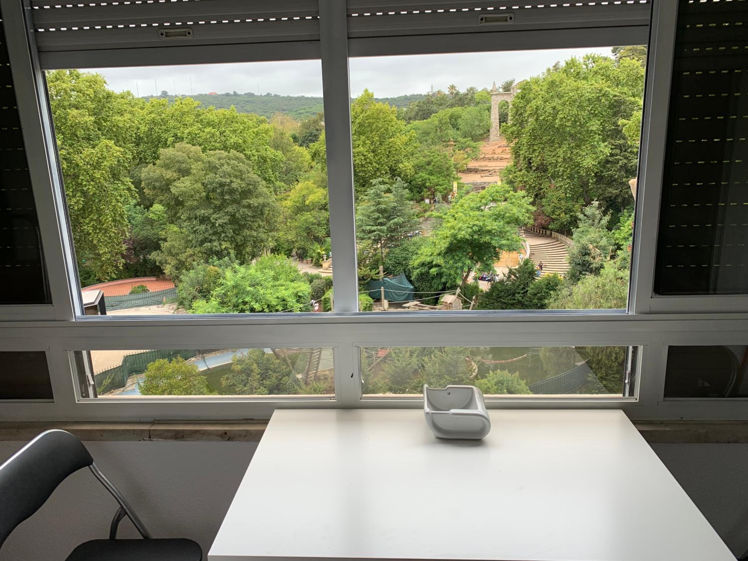 Apartamento vista frontal zoo