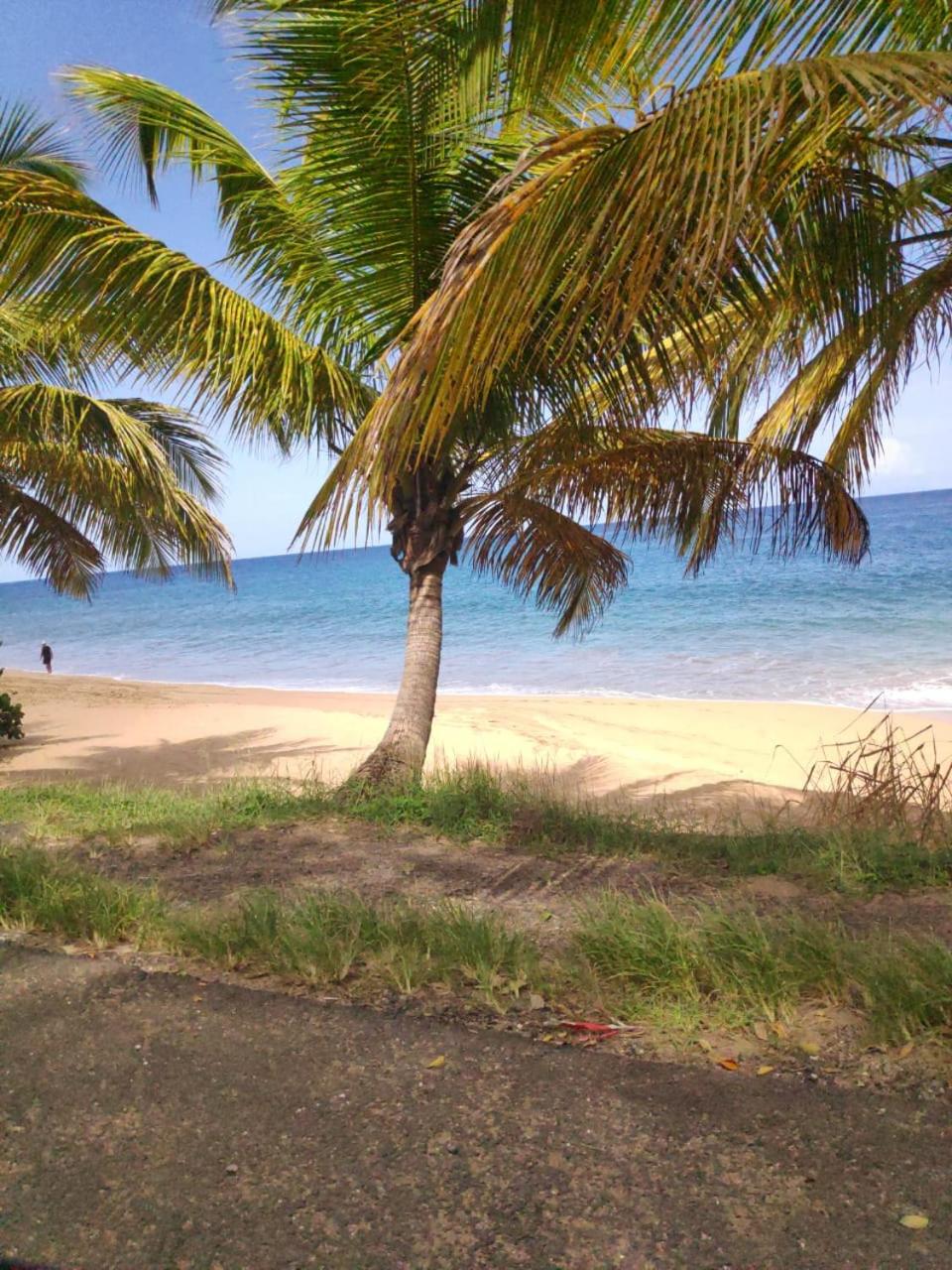 Photo 40