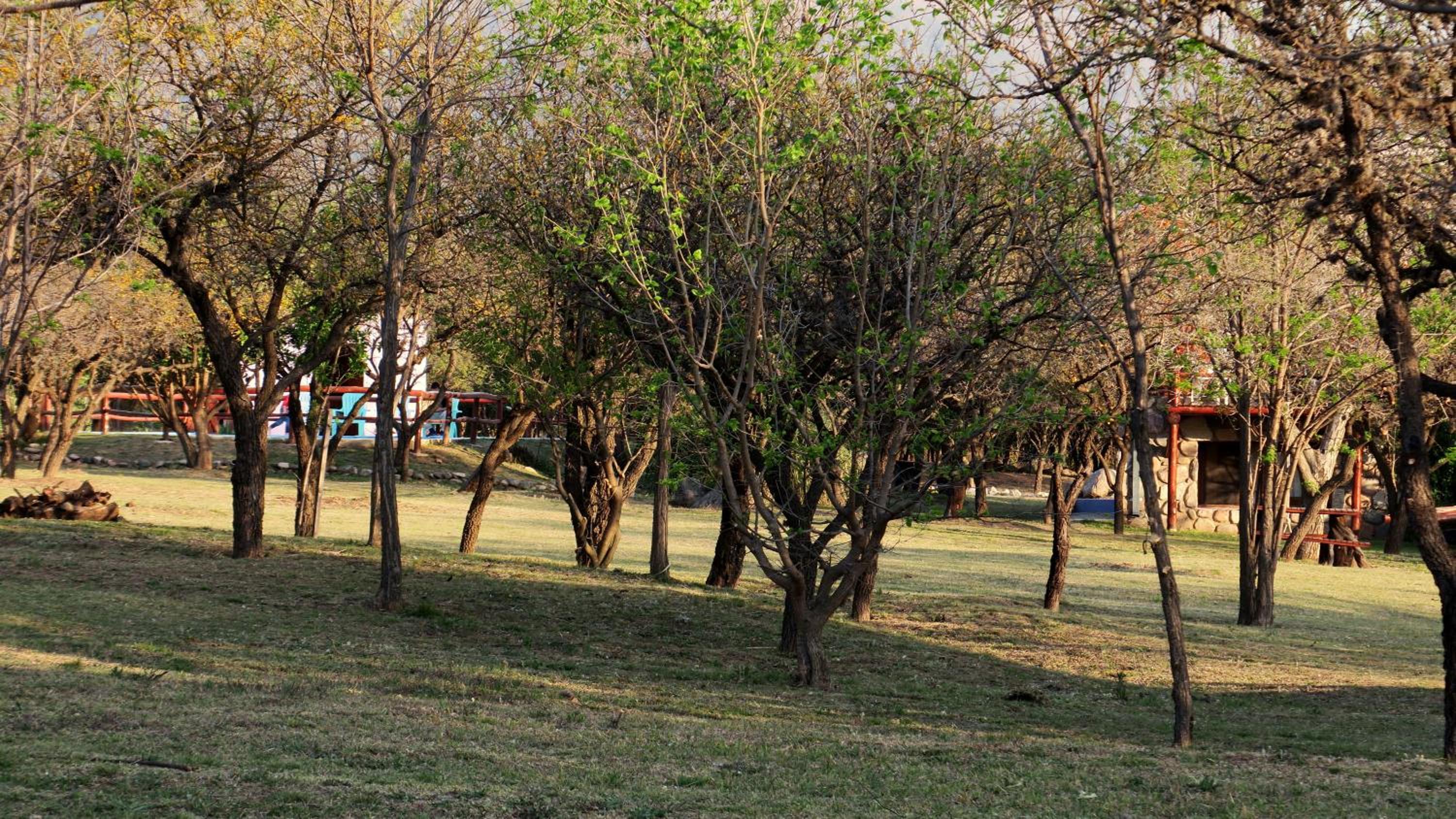 Cabañas Yanasuy