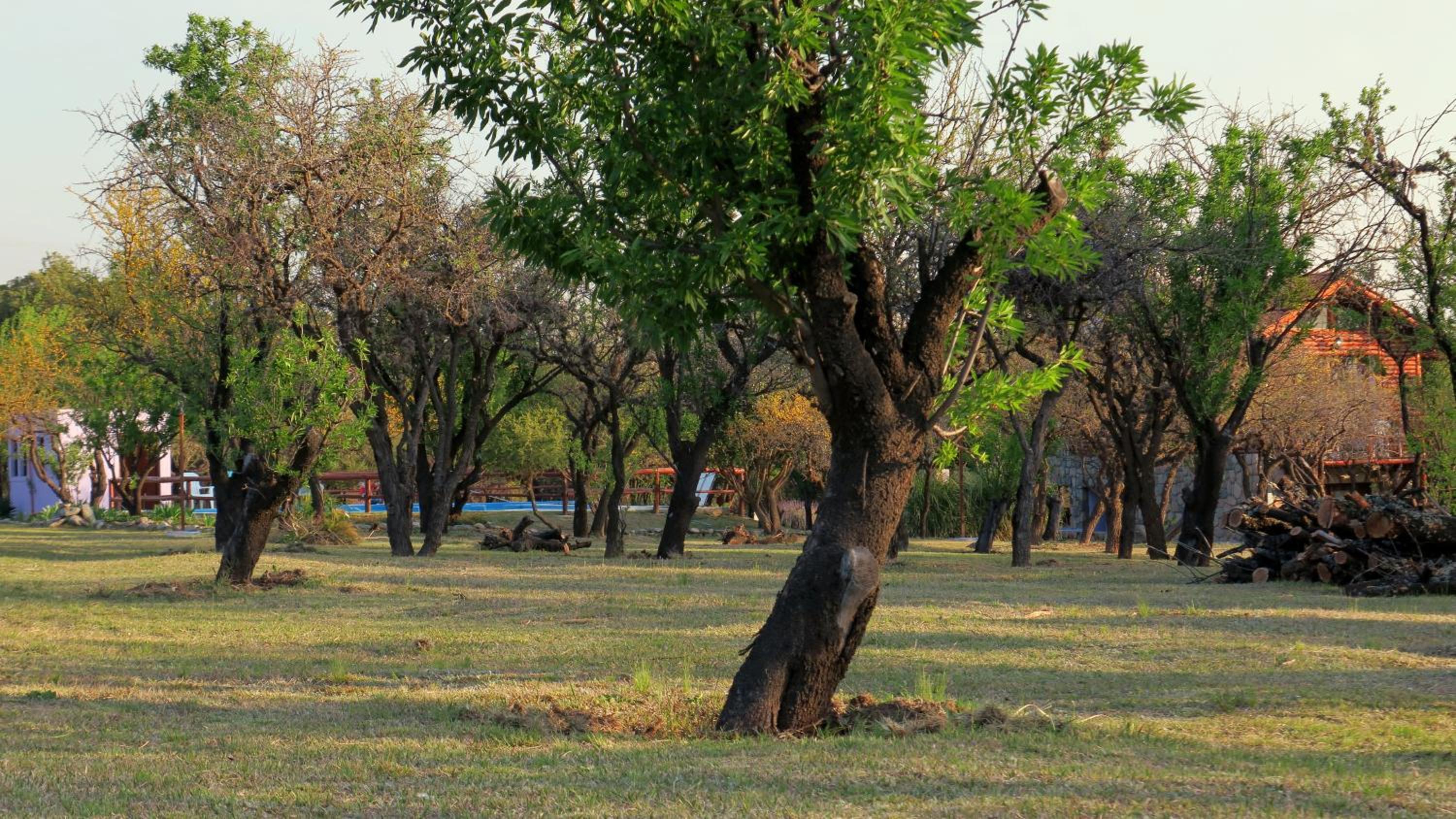 Cabañas Yanasuy