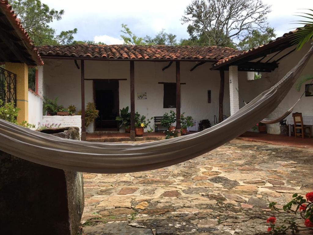 Photo 21