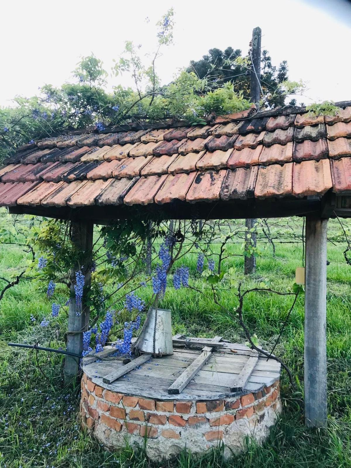 Casa de Ines em Santana
