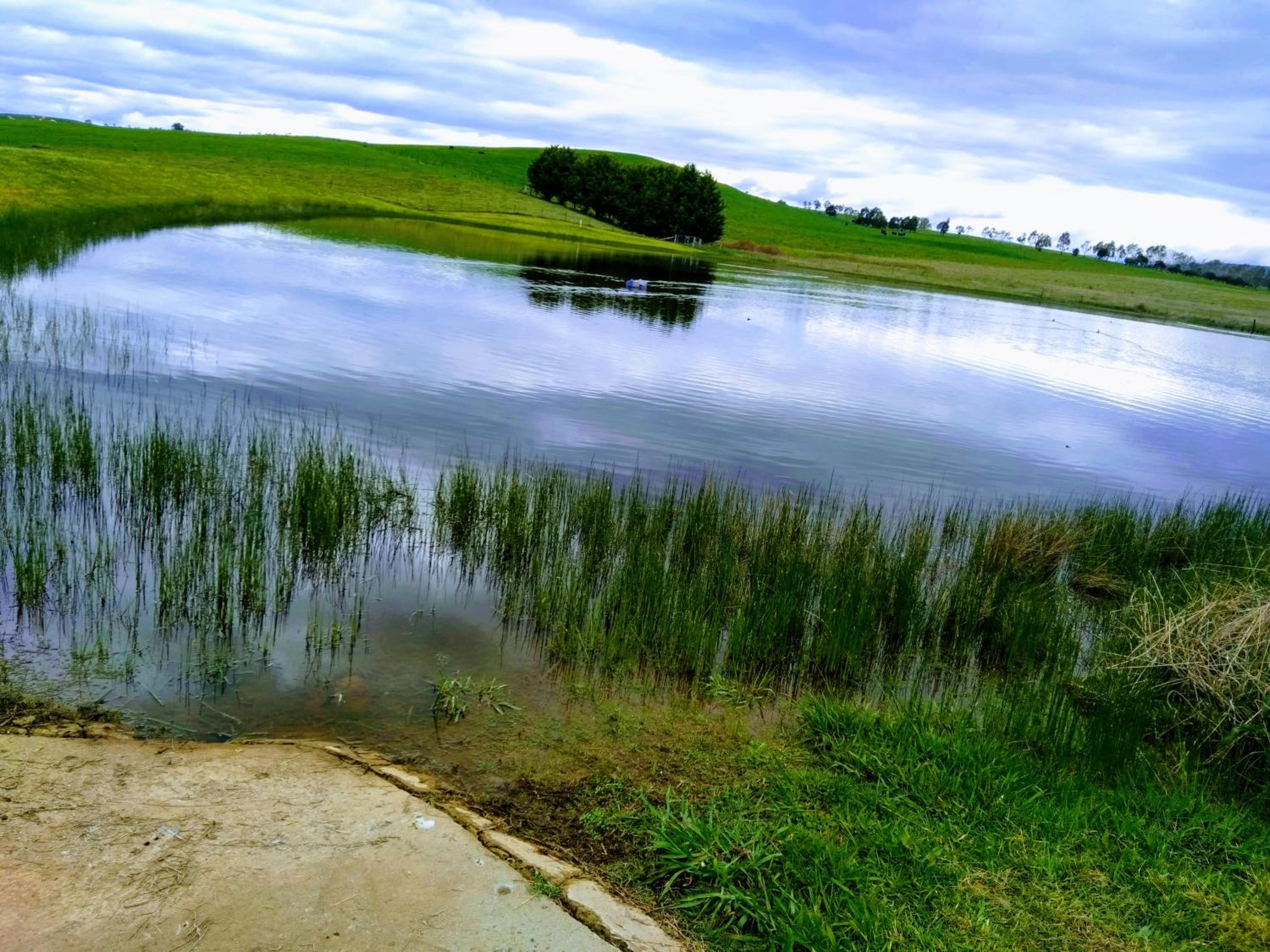 Photo 8