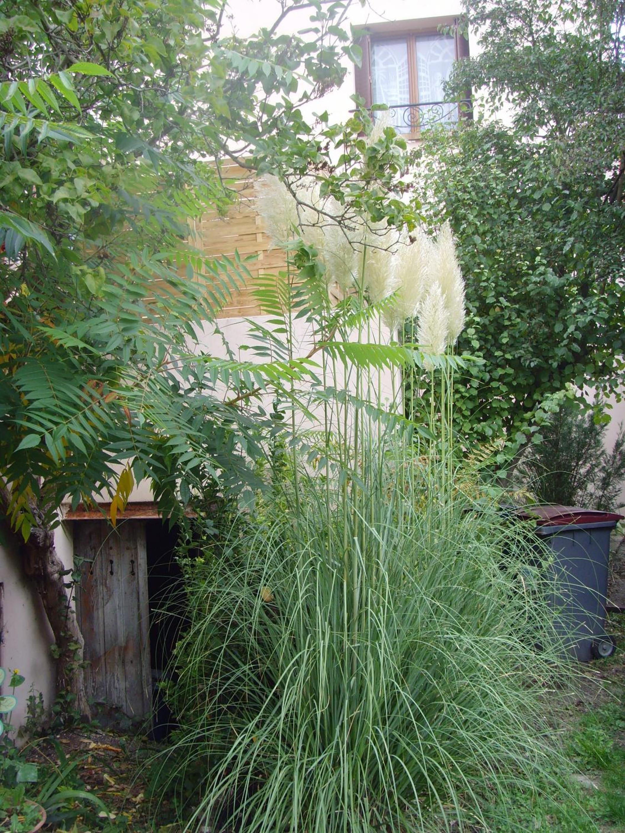 Photo 55