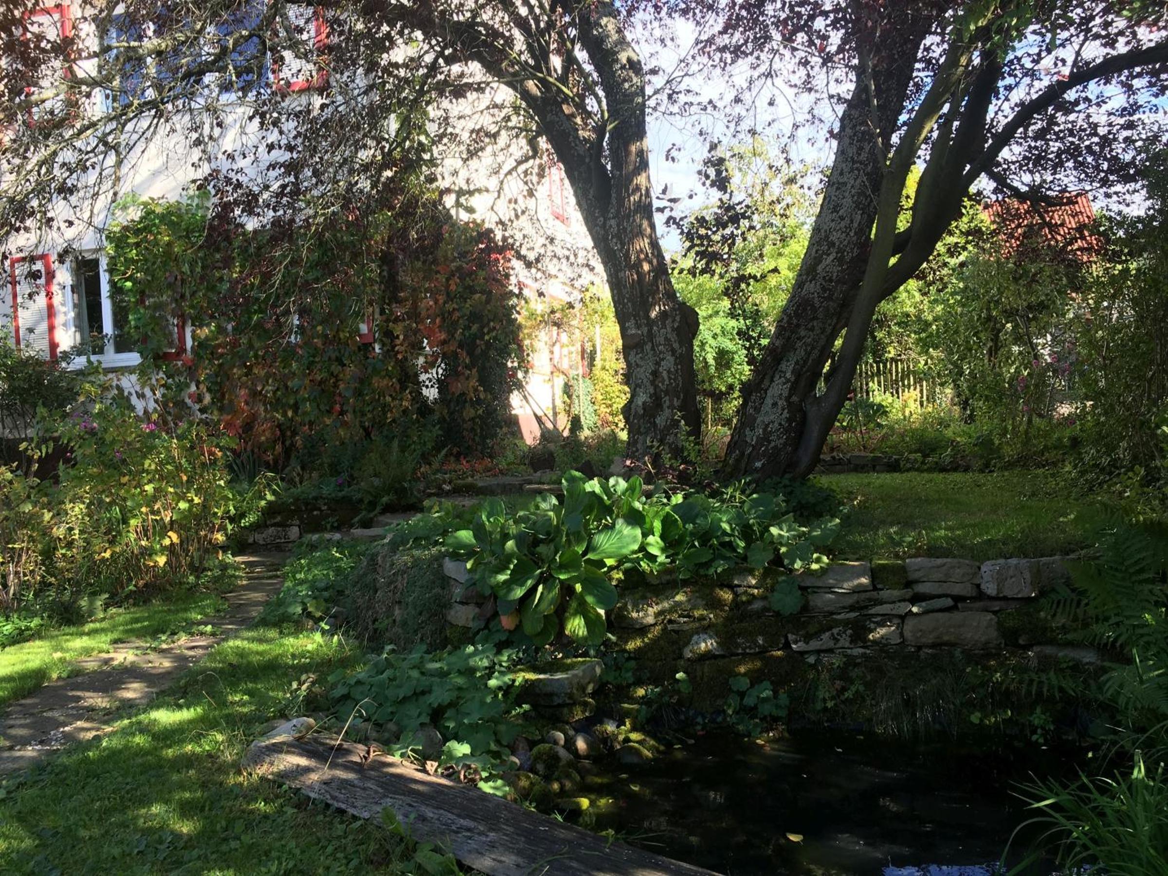 Photo 32