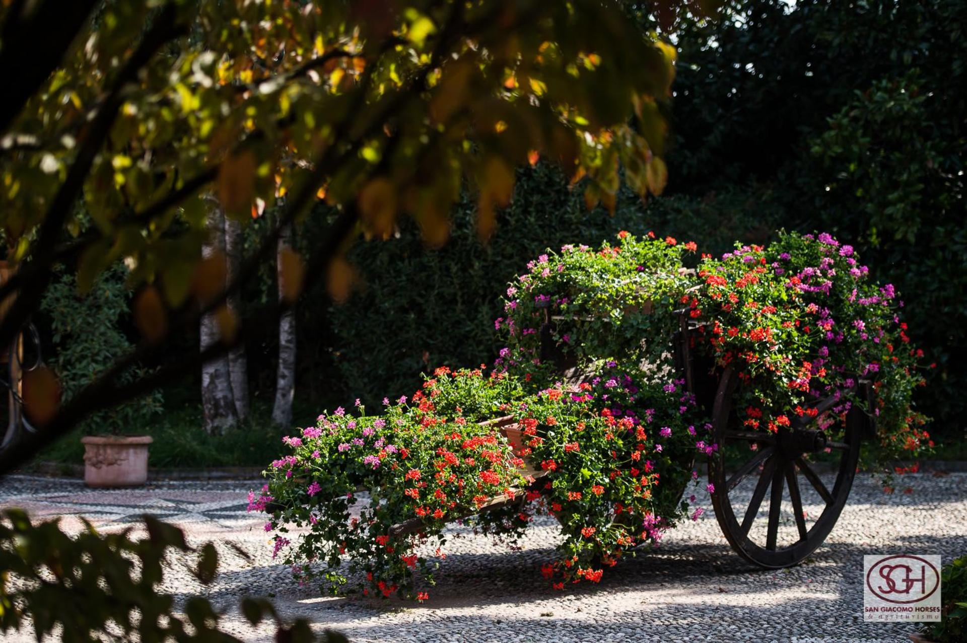 San Giacomo Horses & Agriturismo