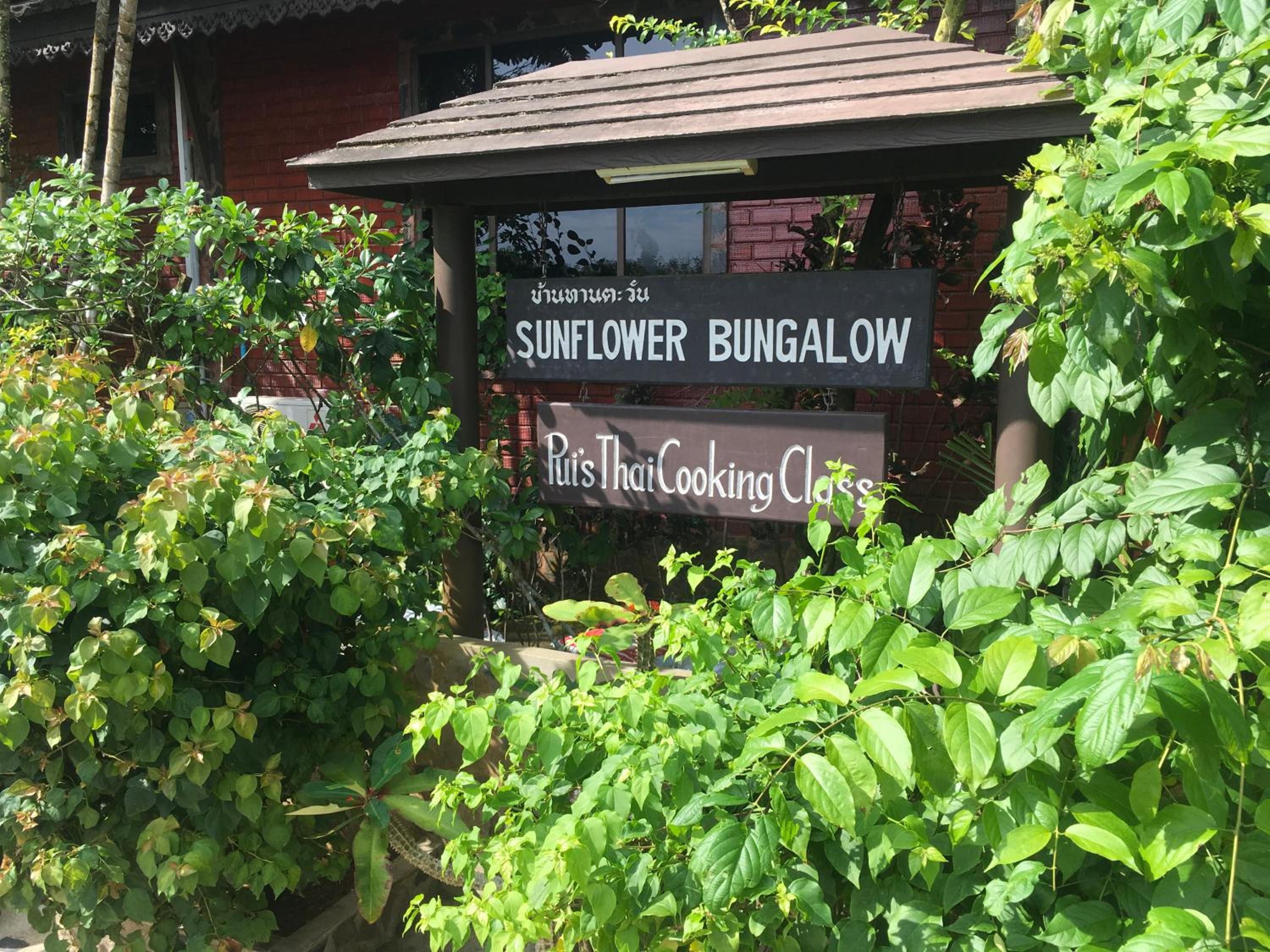 Sunflowerbungalow