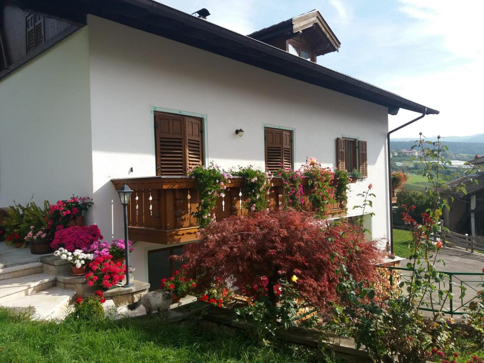 Appartamento Cologna view 2