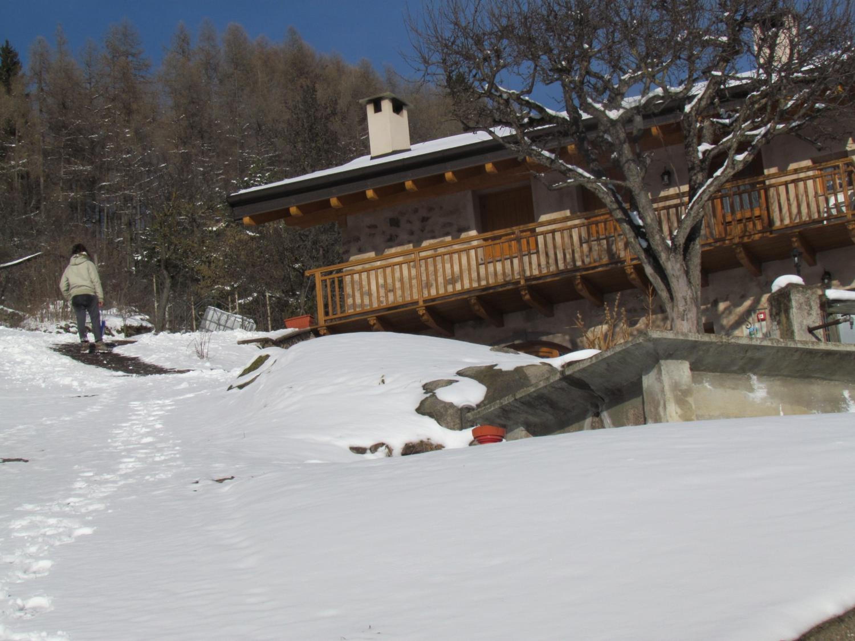 Photo 11