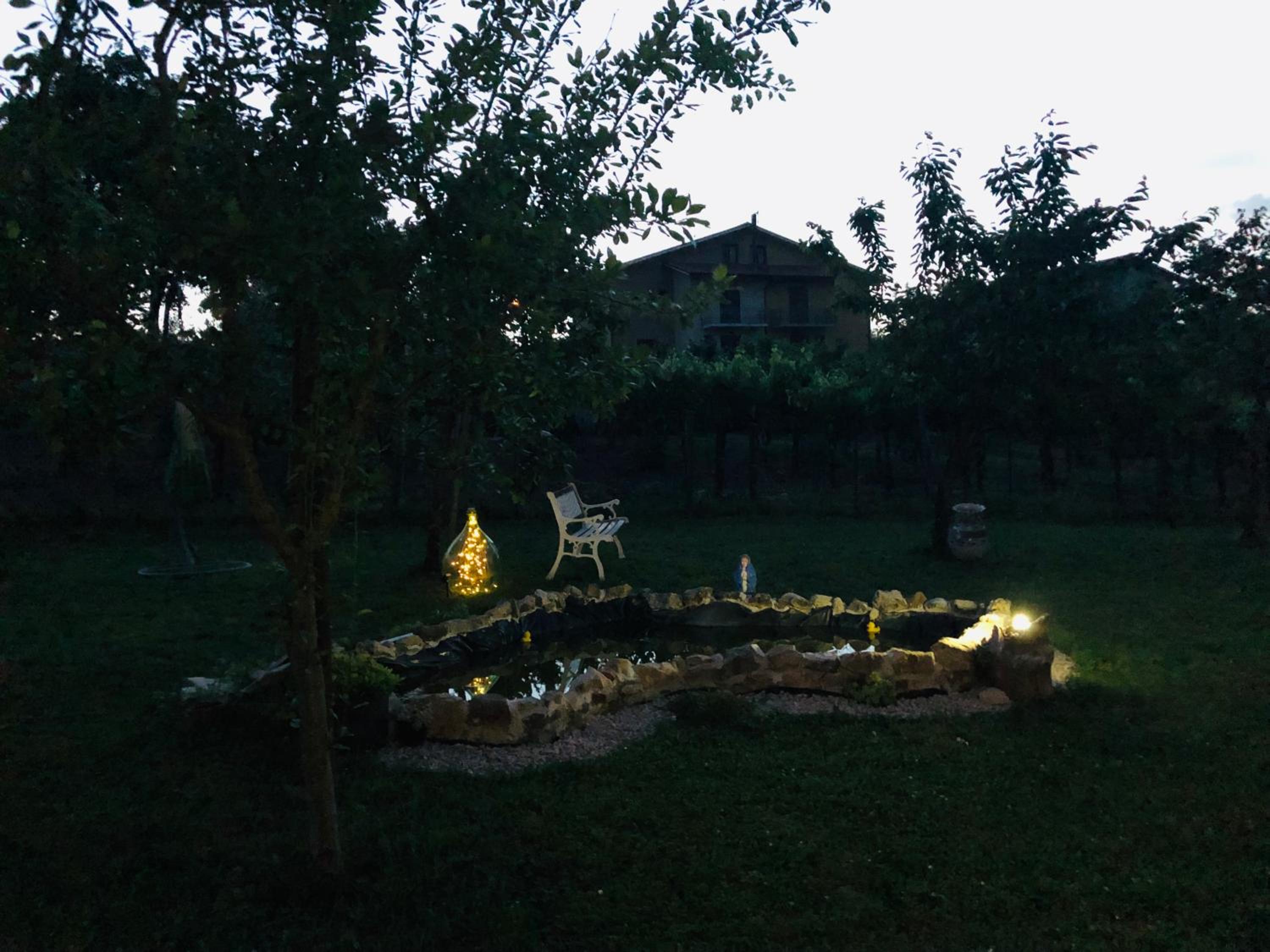 Photo 17