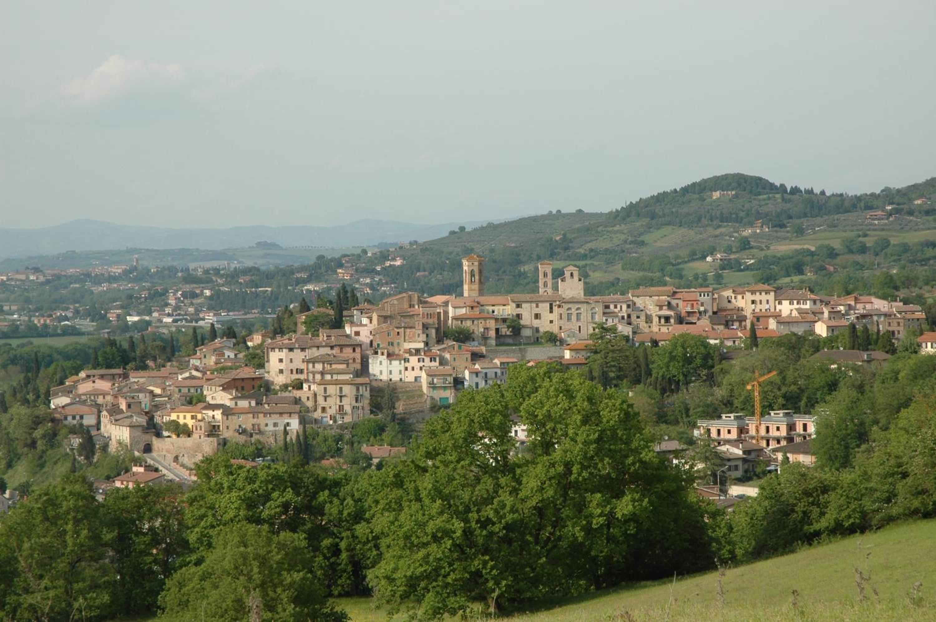 Photo 44