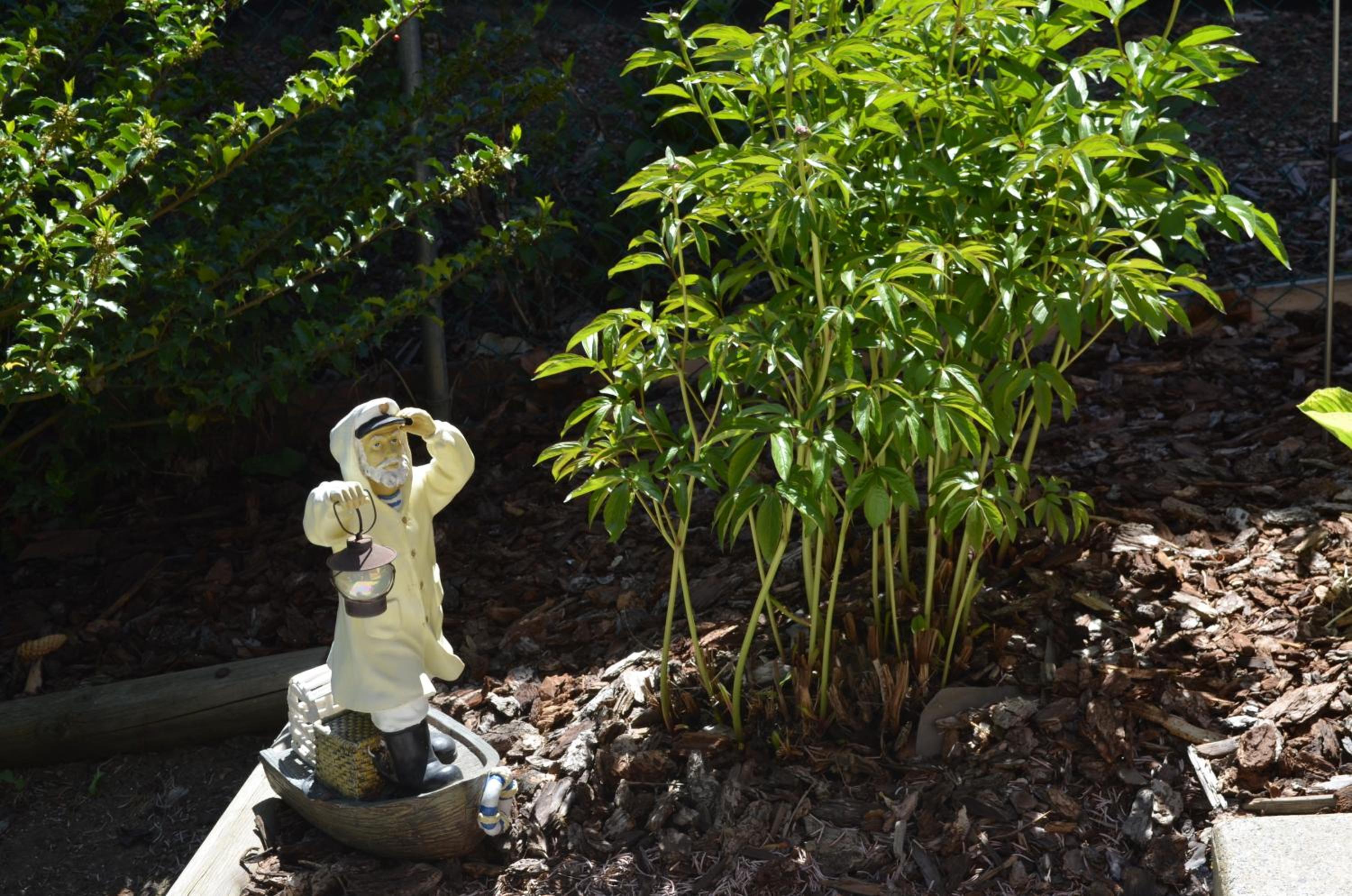 Dogwood Bed & Breakfast