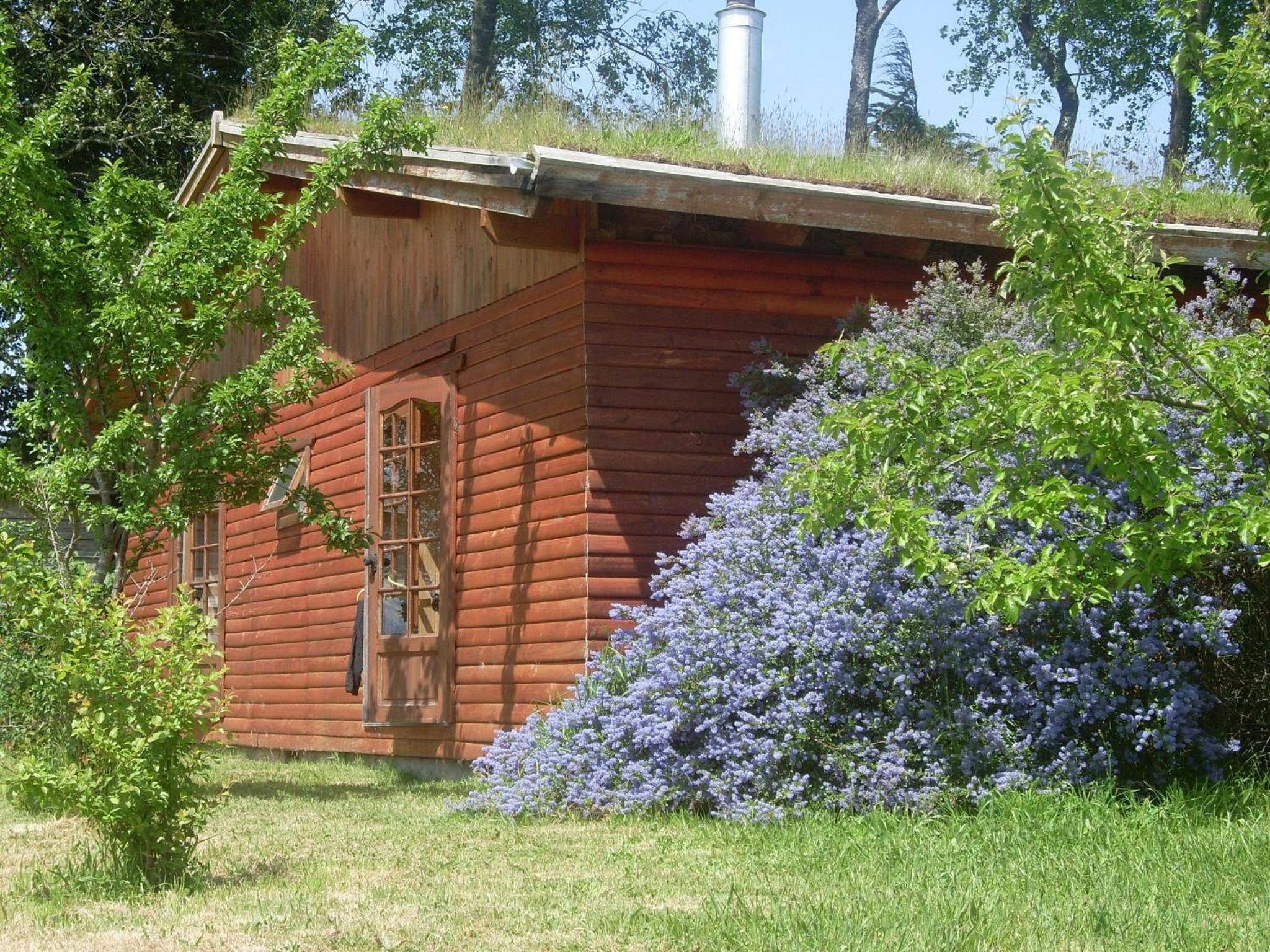 Hostal Zapato Amarillo