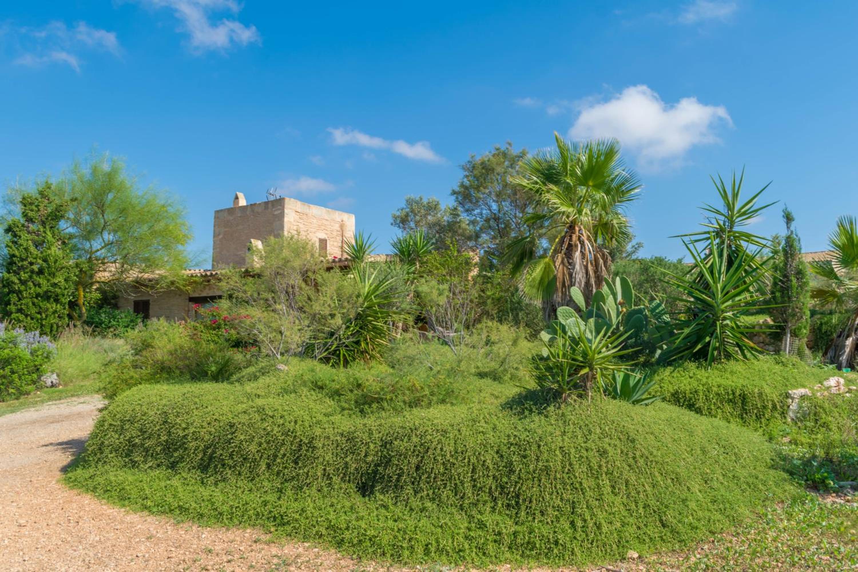 Villa Es Molí­ Des Trenc
