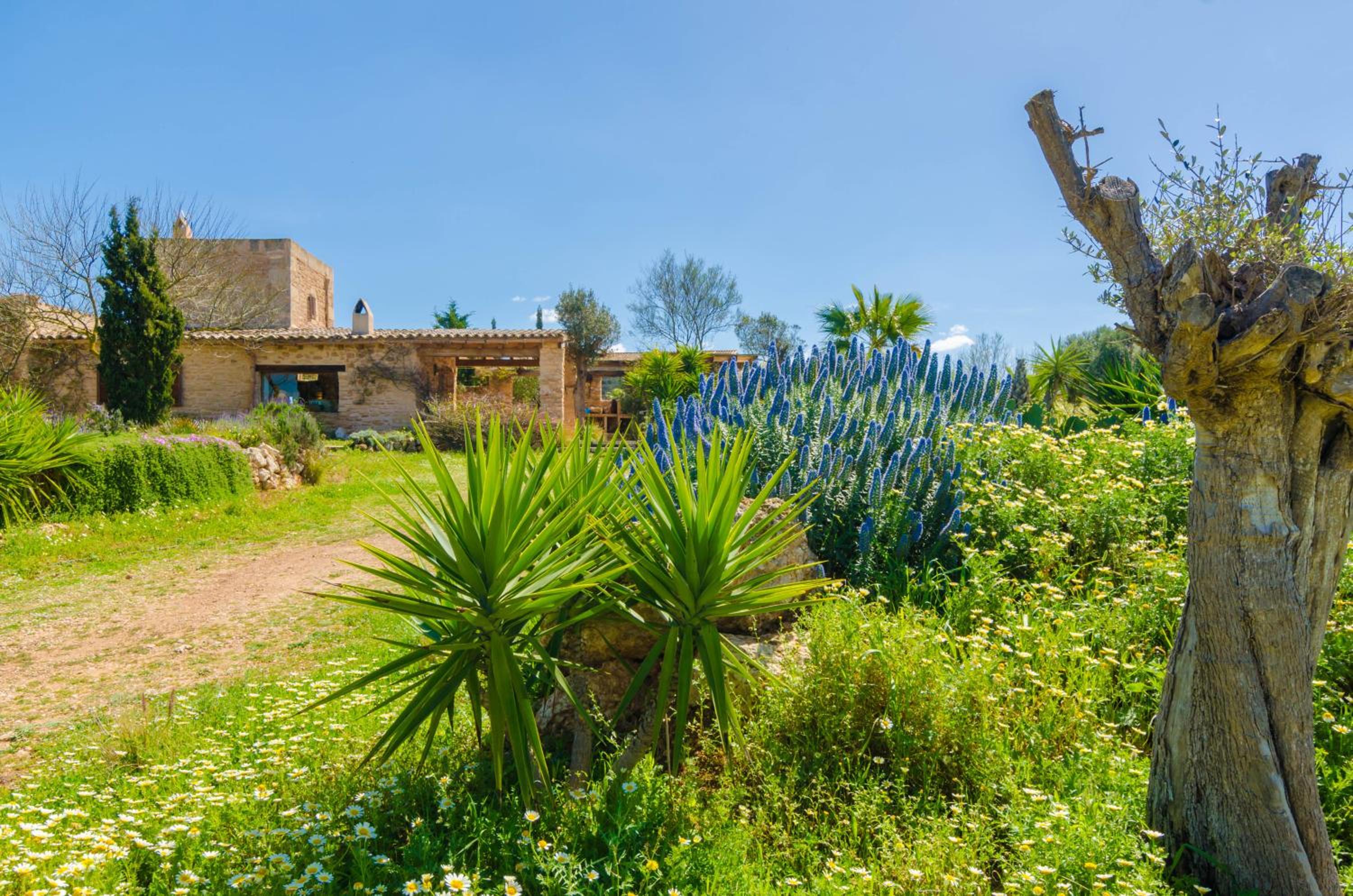 Villa Es Molí­ Des Trenc