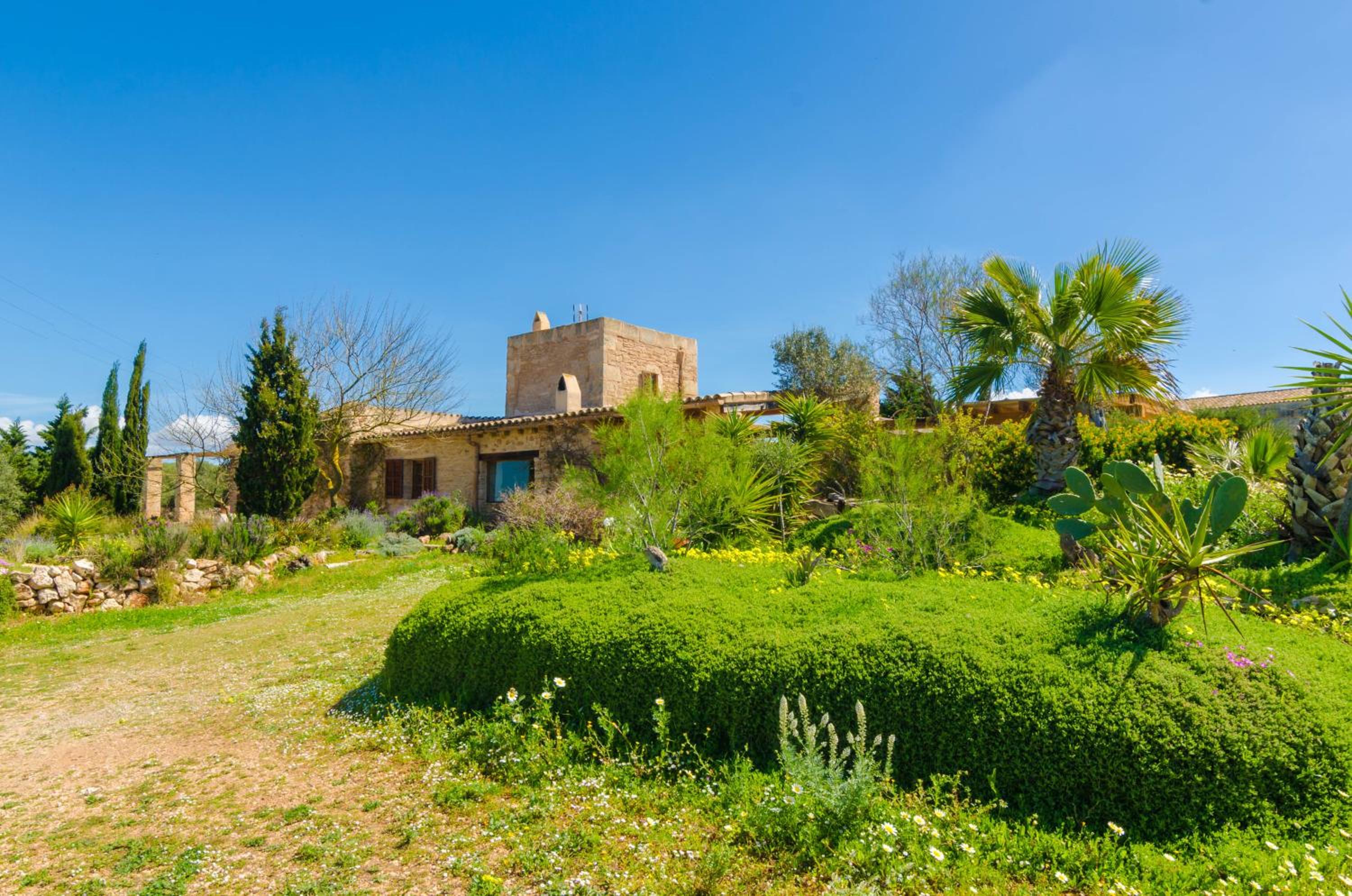 Villa Es Molí­ Des Trenc