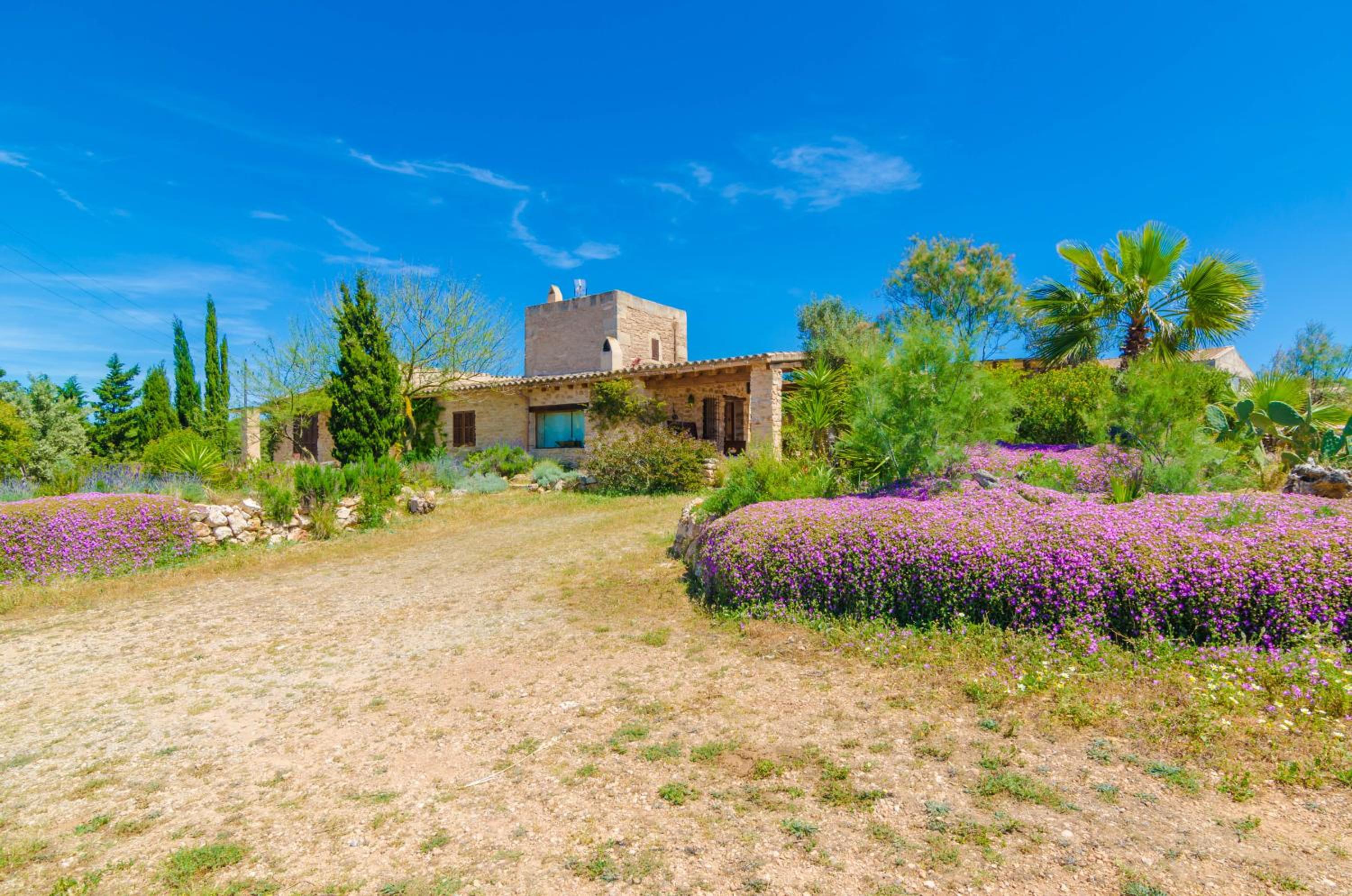 Villa Es Molí­ Des Trenc
