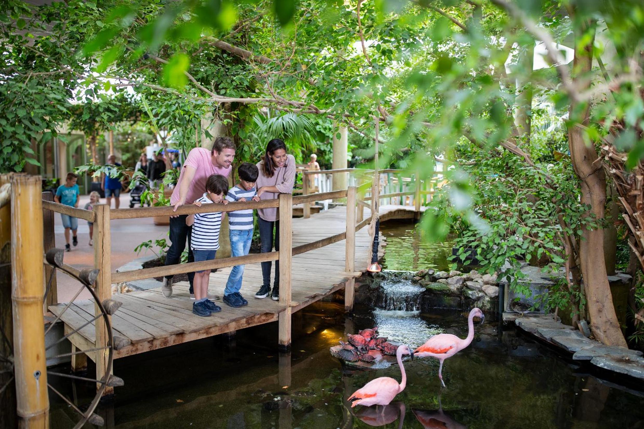 Center Parcs Port Zélande Beach