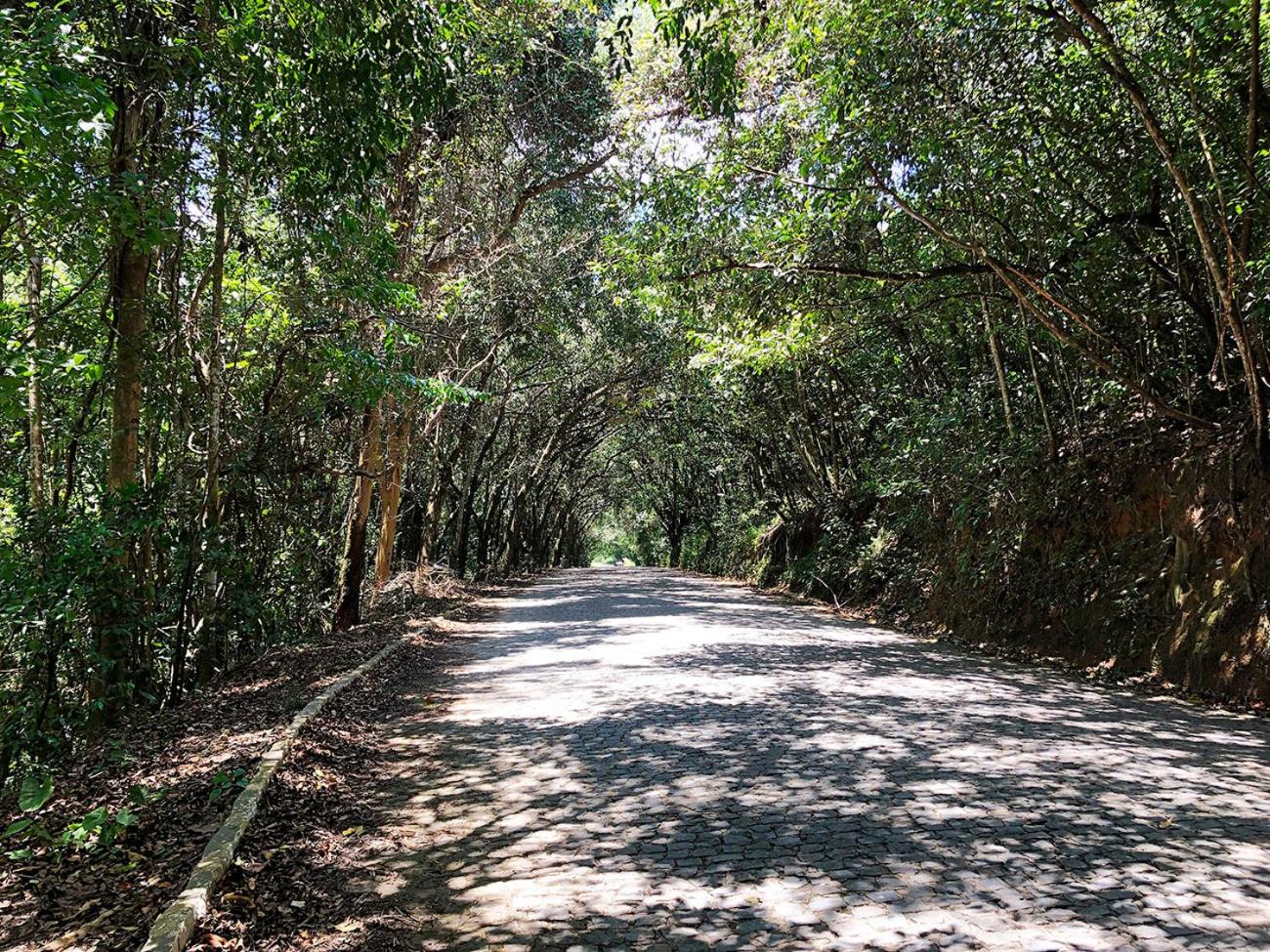 Casa/Apto em Condomínio na Beira-Mar em Tamandaré / Próximo a Praia dos Carneiros