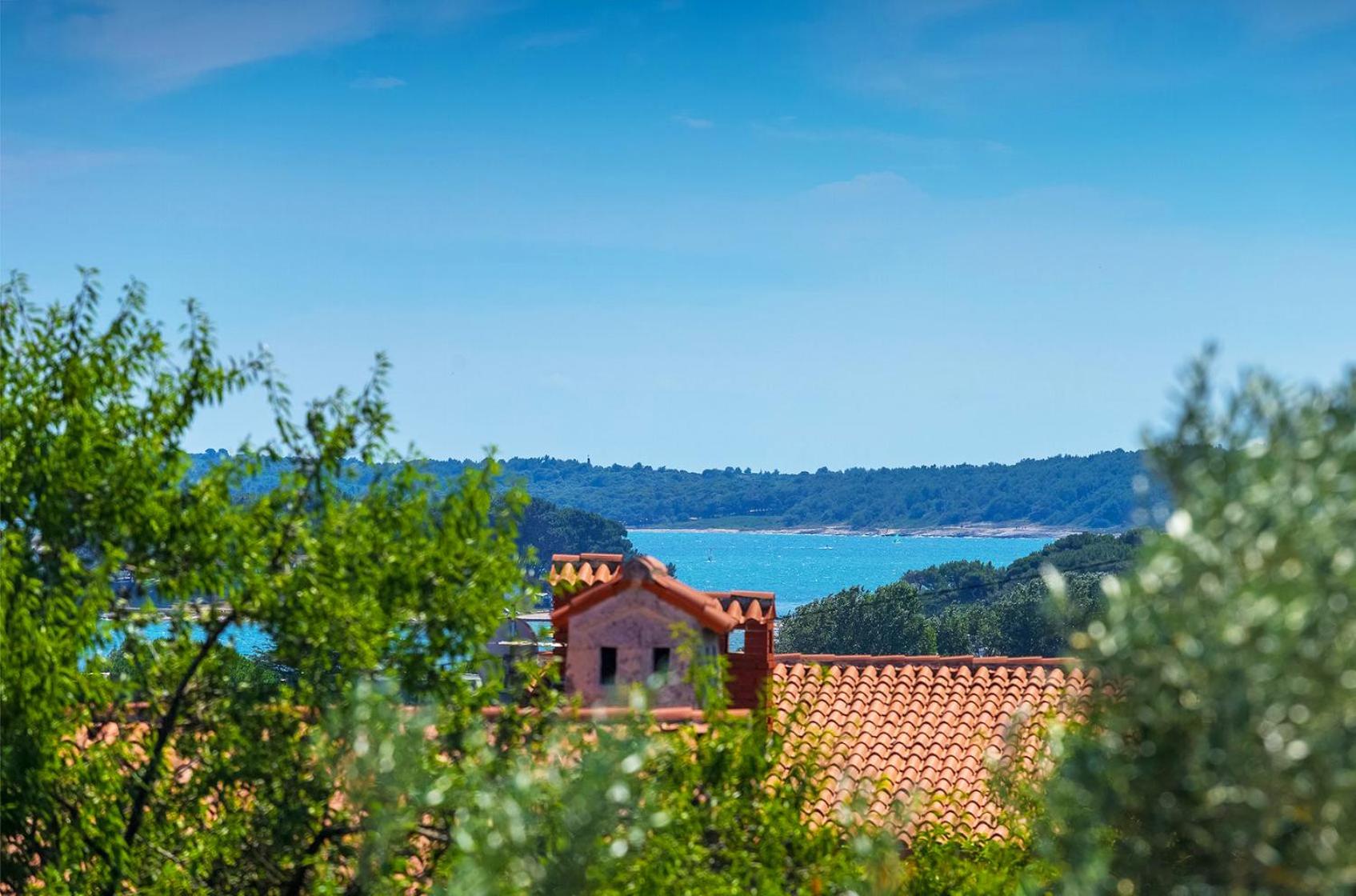 Luxury villa Medulin II with heated pool and sea view near the beach