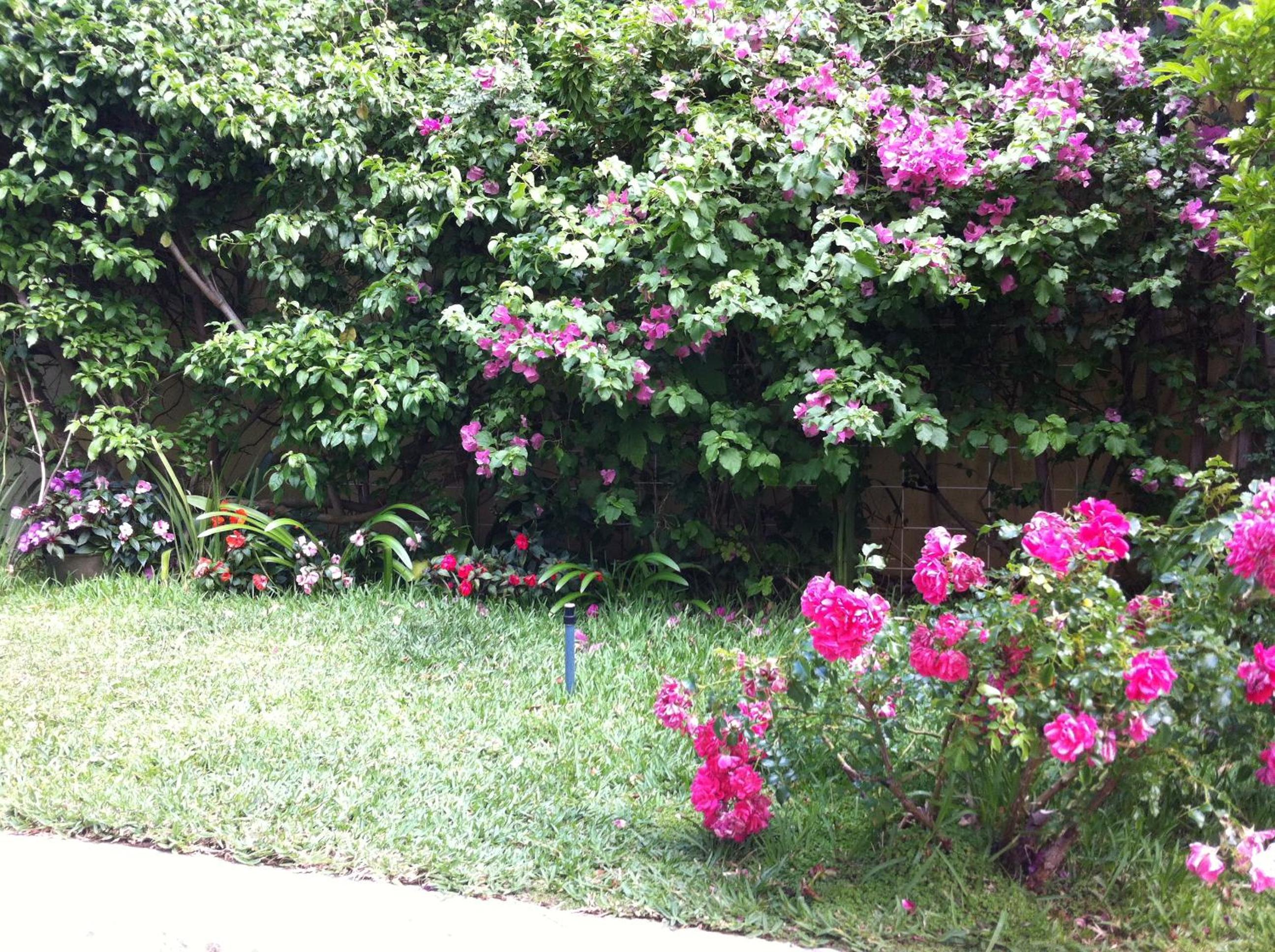 Photo 7