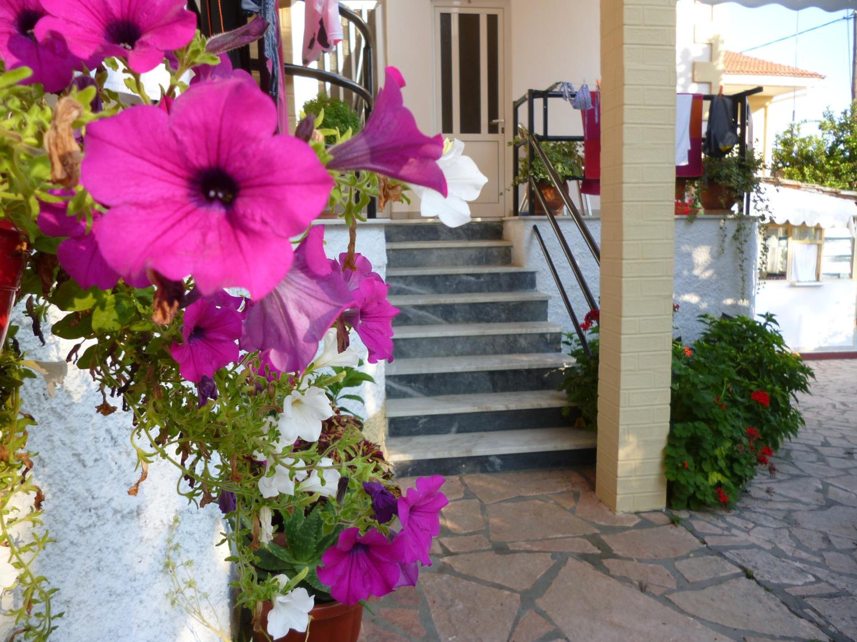Kostas studios