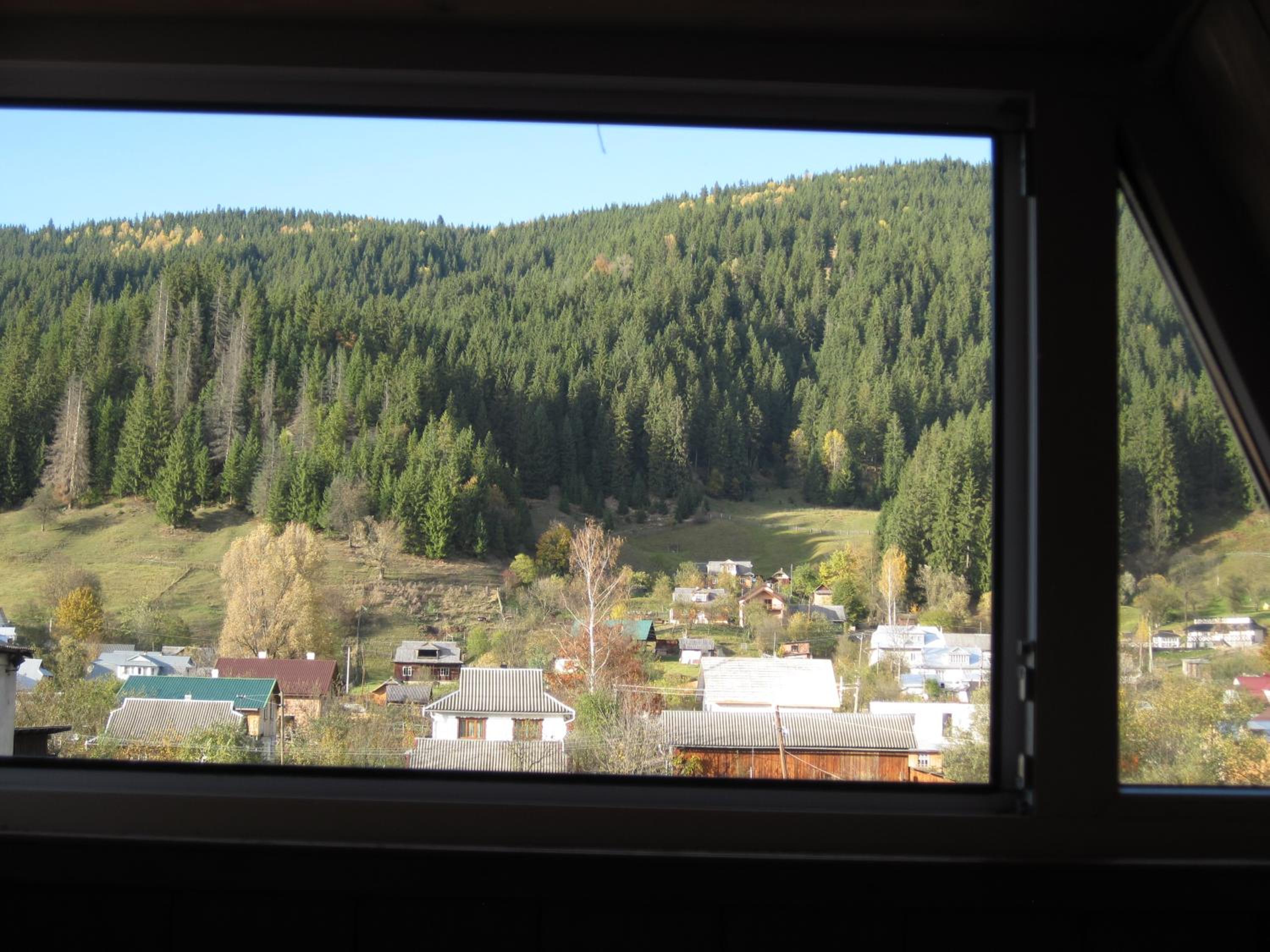 Photo 48