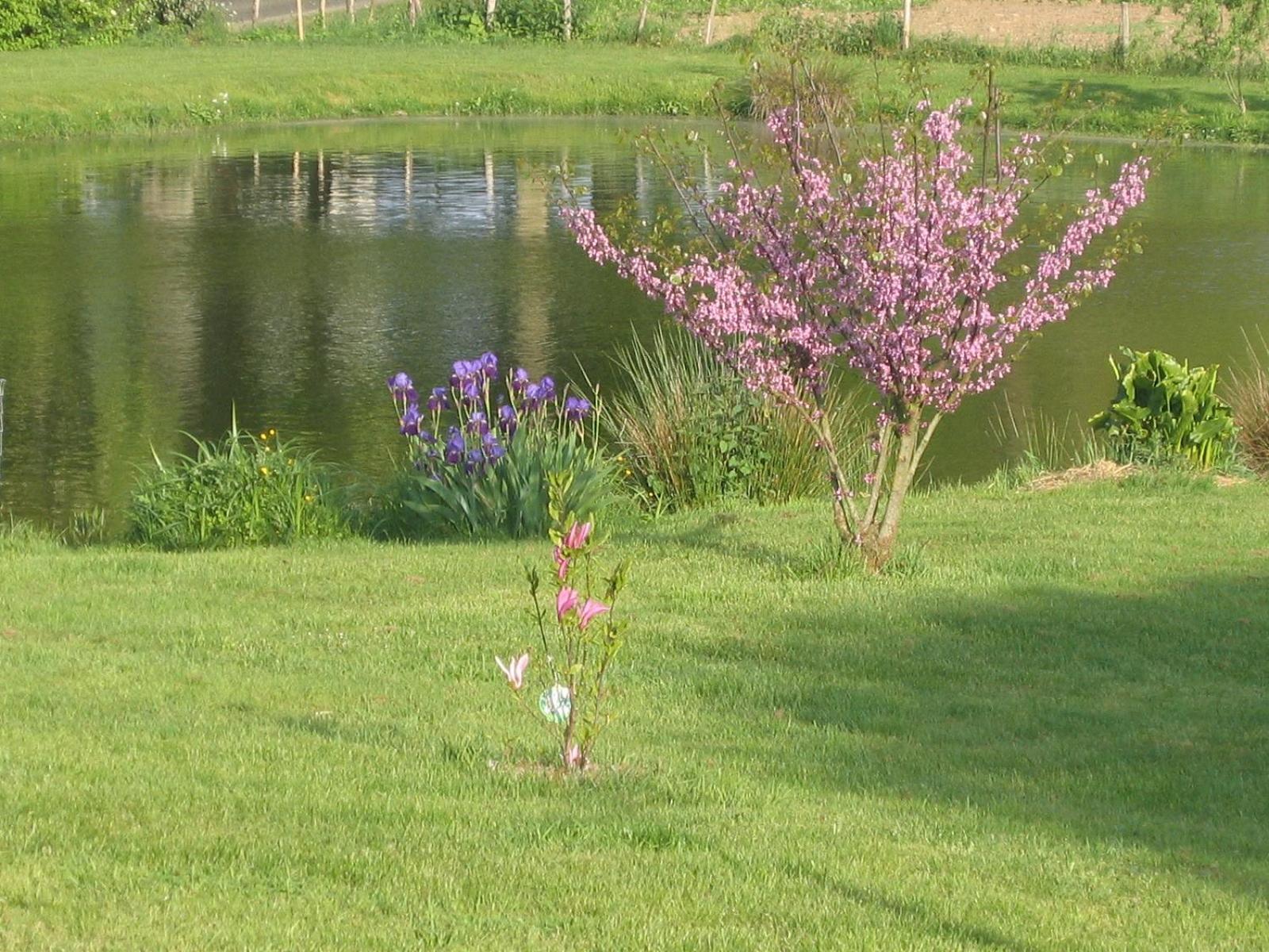 Photo 28