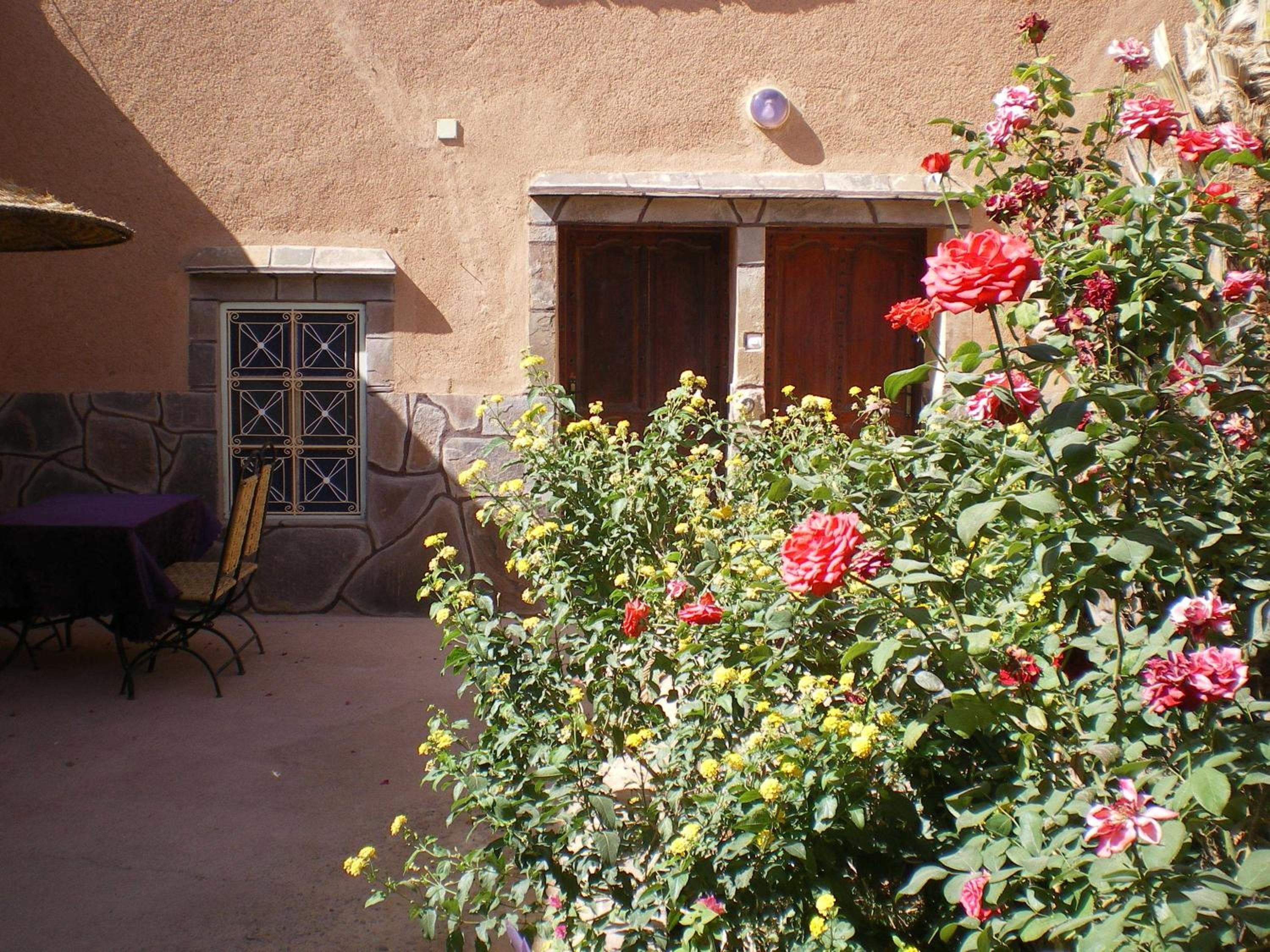 Photo 6