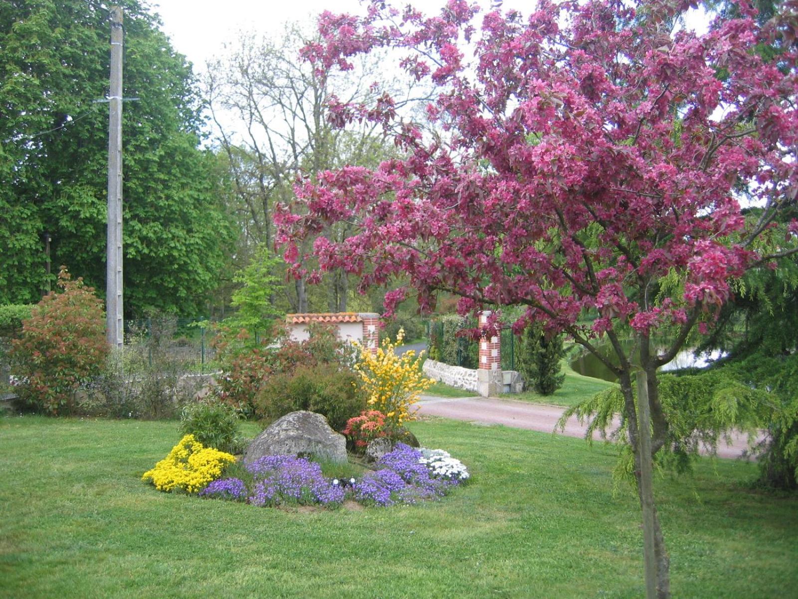 Photo 51