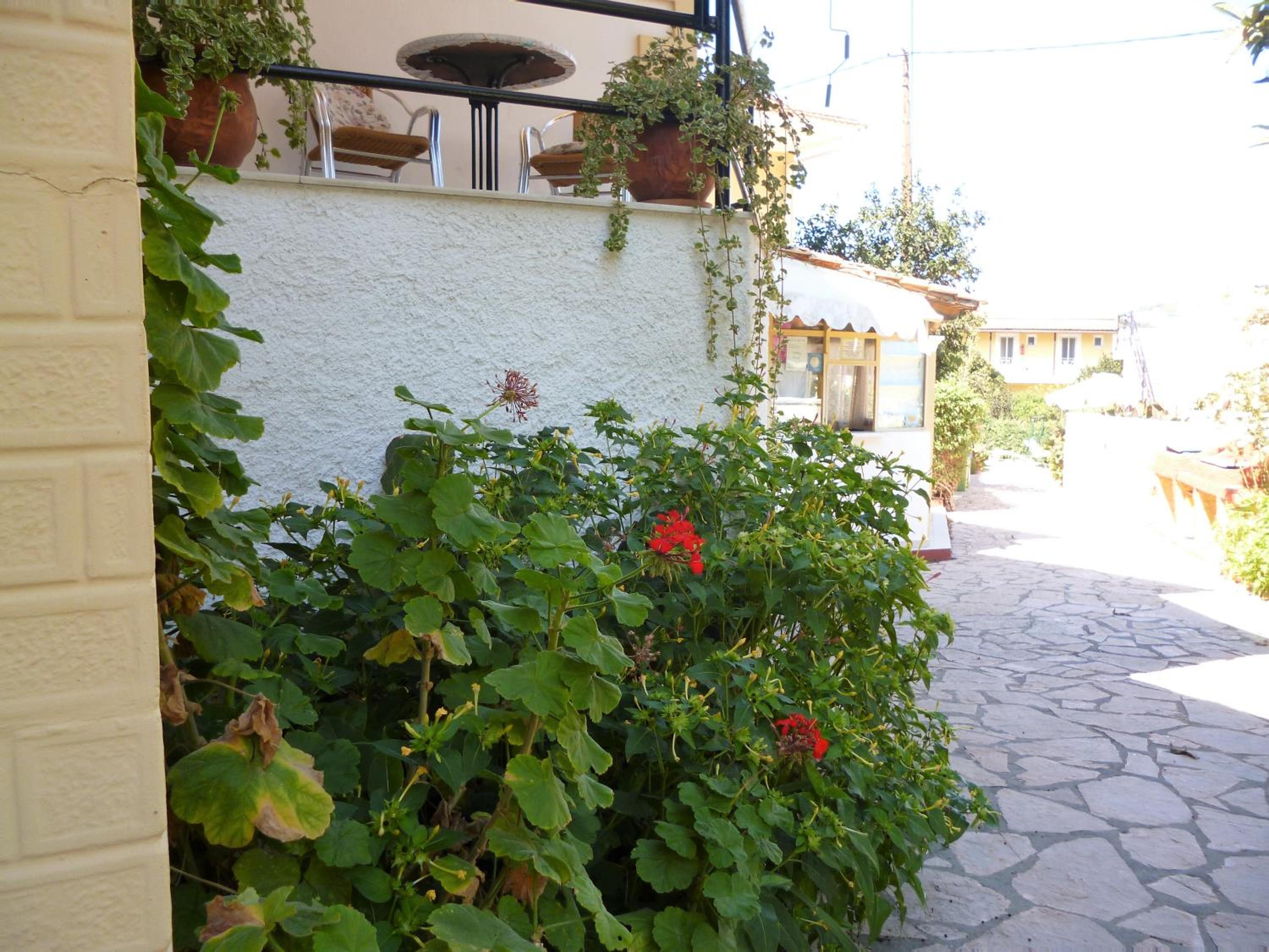 Kostas studios