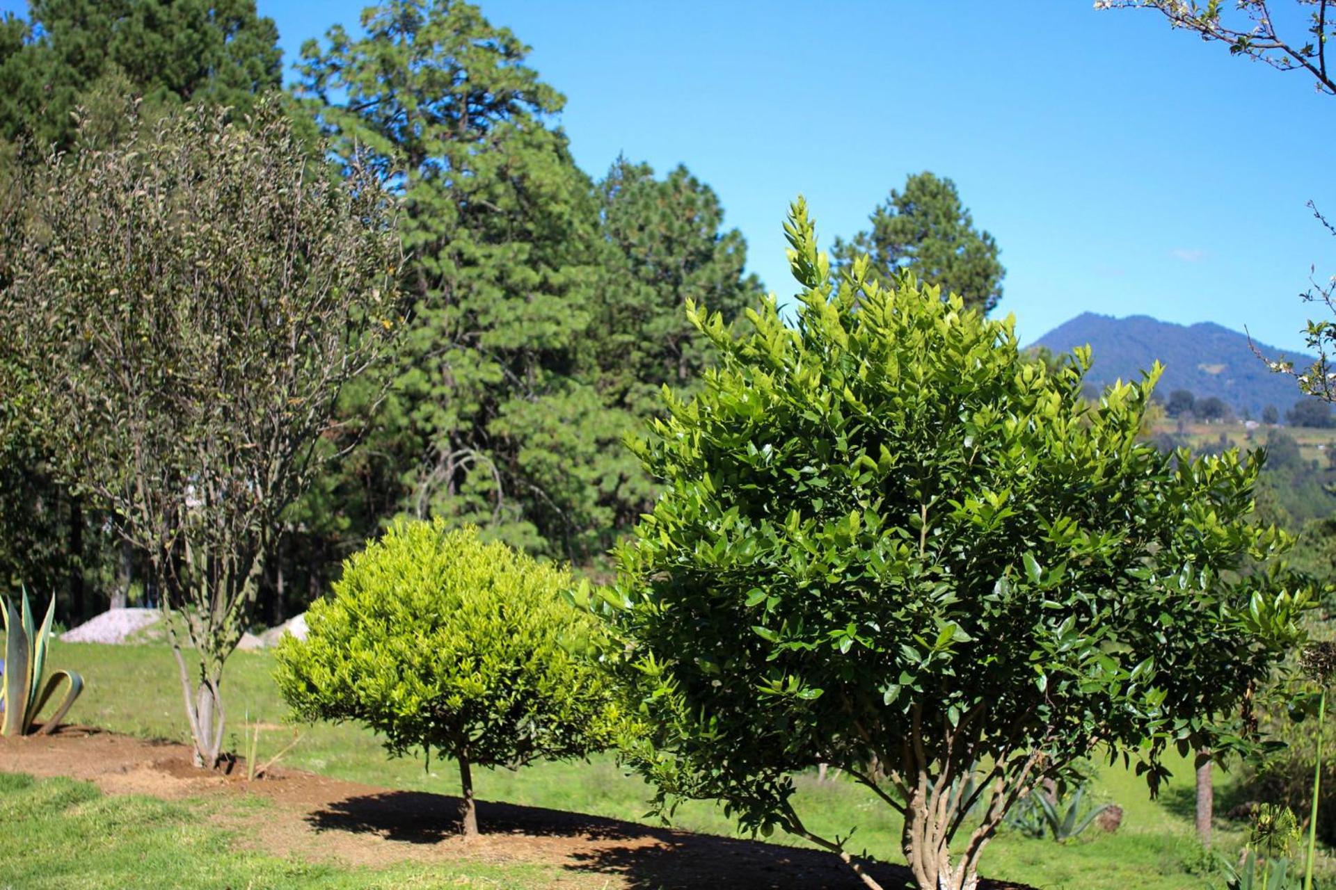 Photo 46