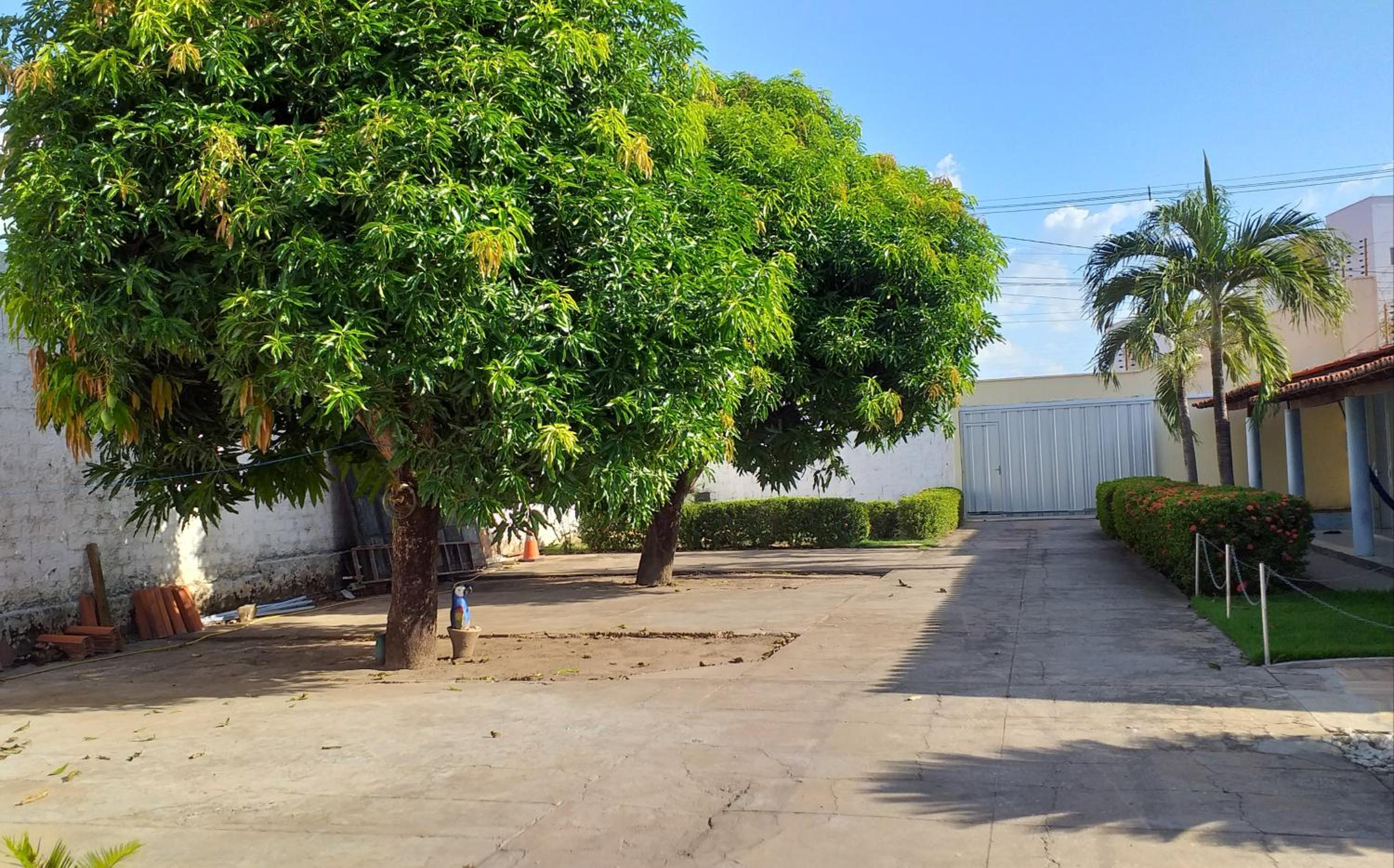 Hospedagem de daci, photo 6