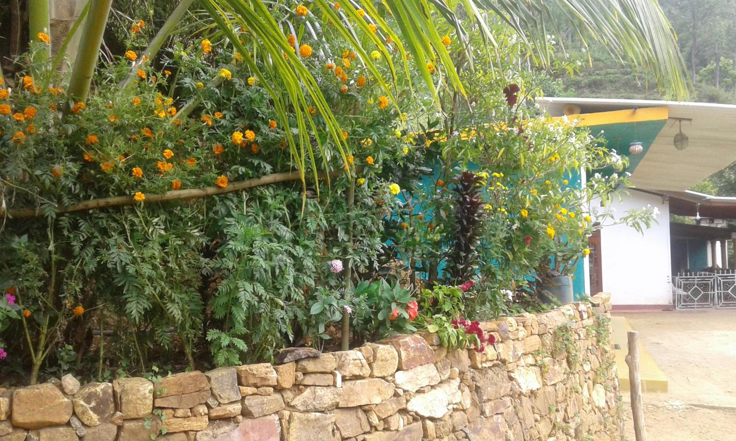 Nature's Rest