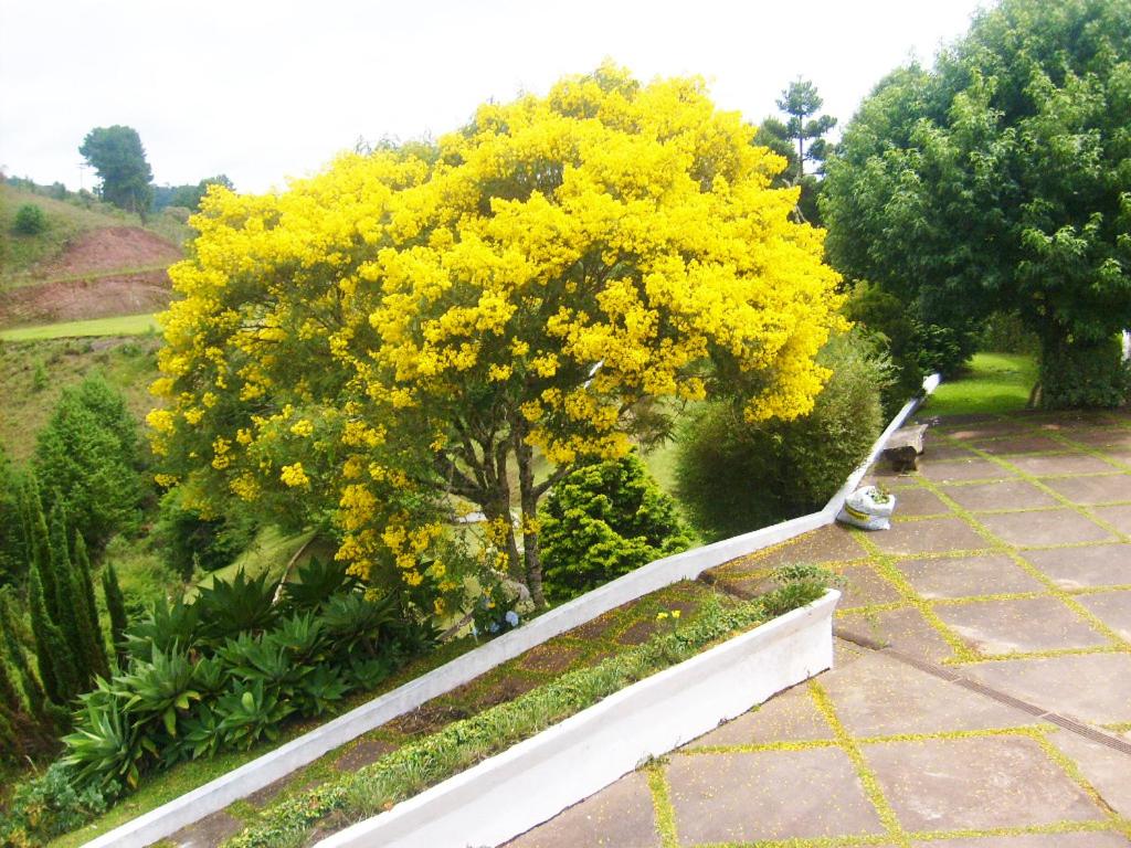 Casa para Final de Semana e Temporada Descansópolis