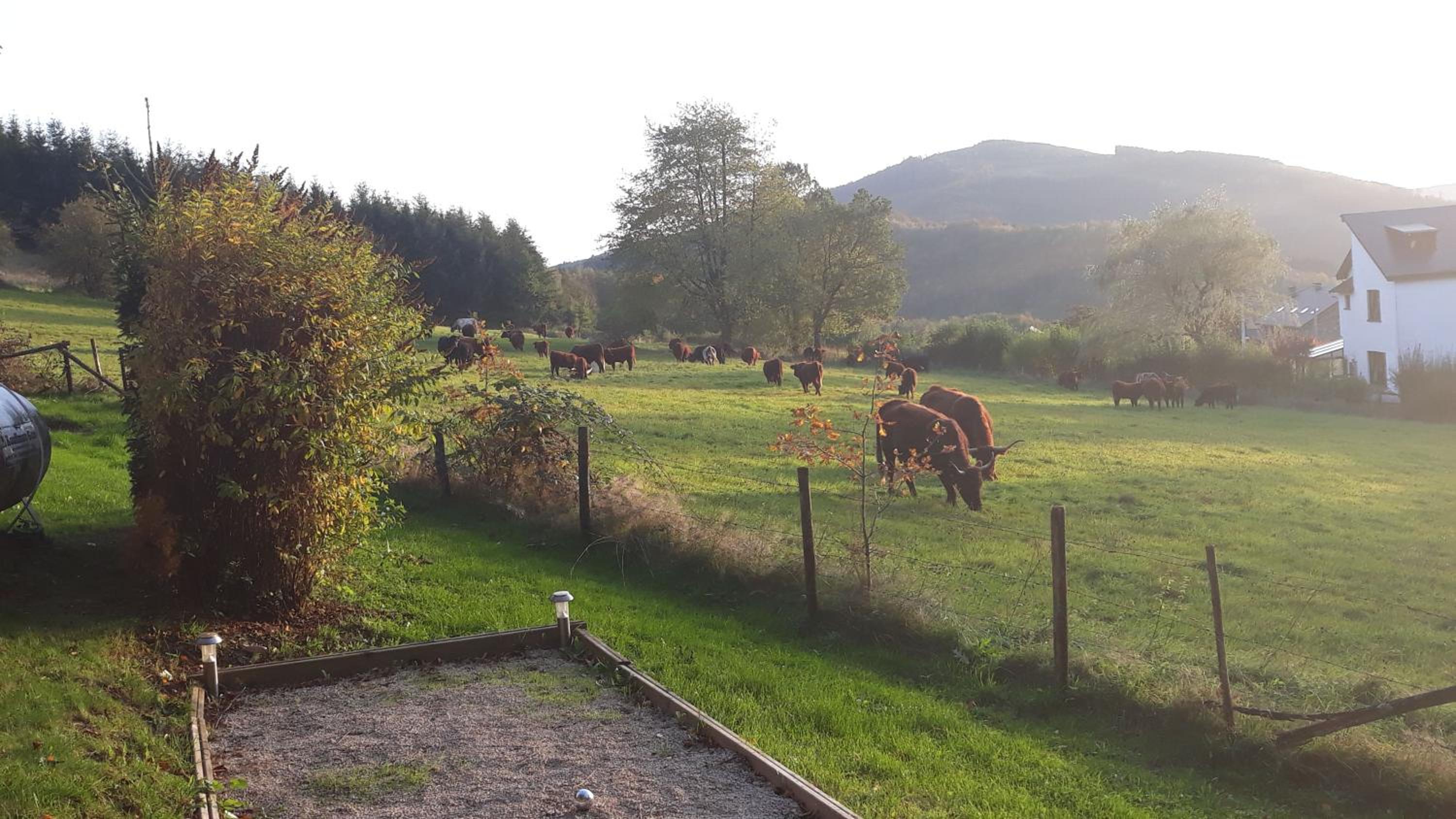 Le chalet de Roanne-Coo view 4
