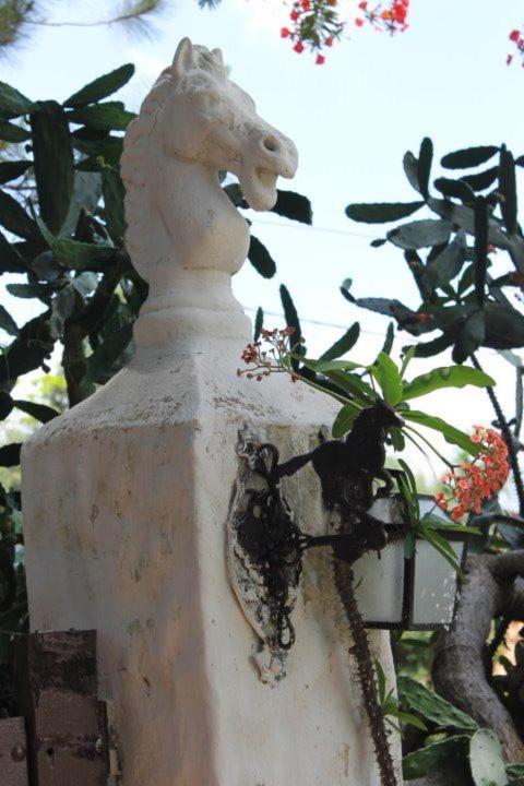 Rancho - São Pedro