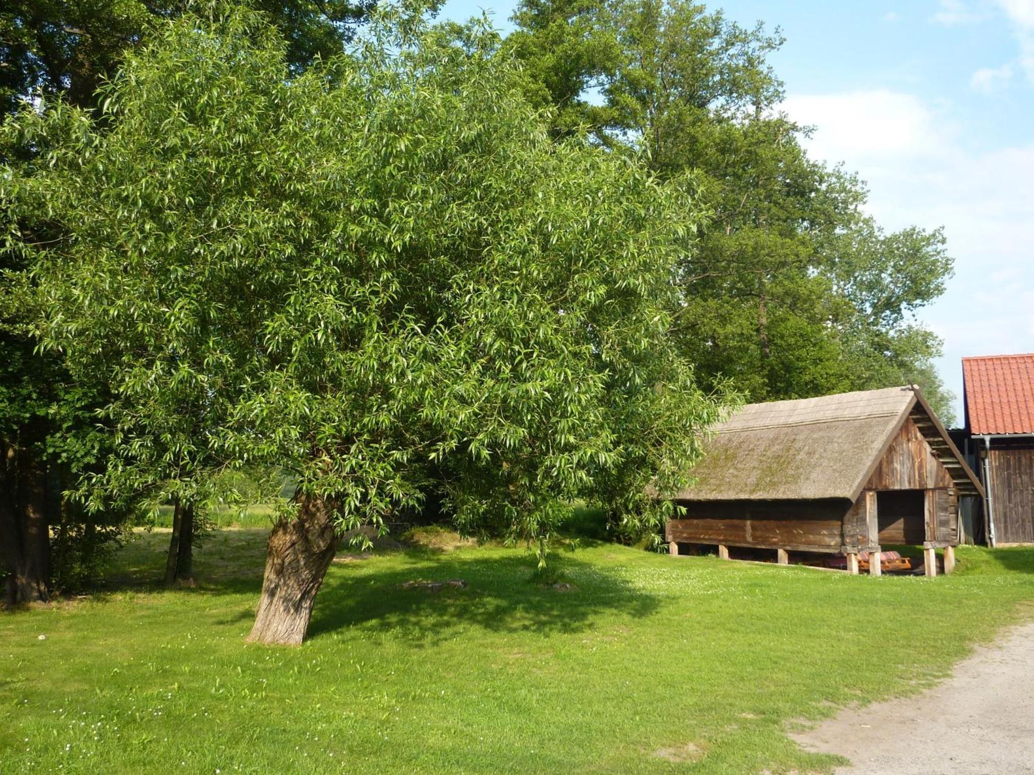 Spreewald Pension Spreeaue