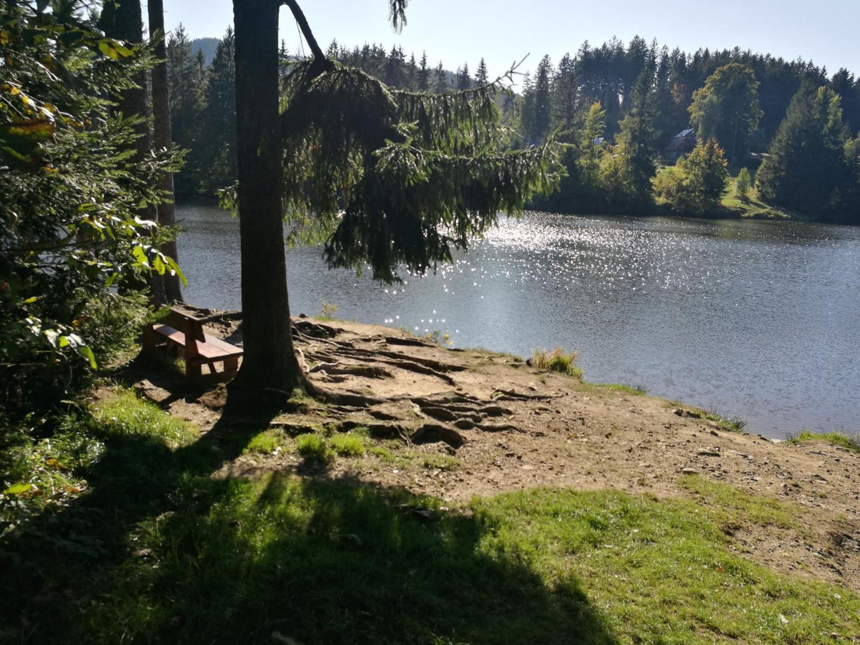 Photo 29